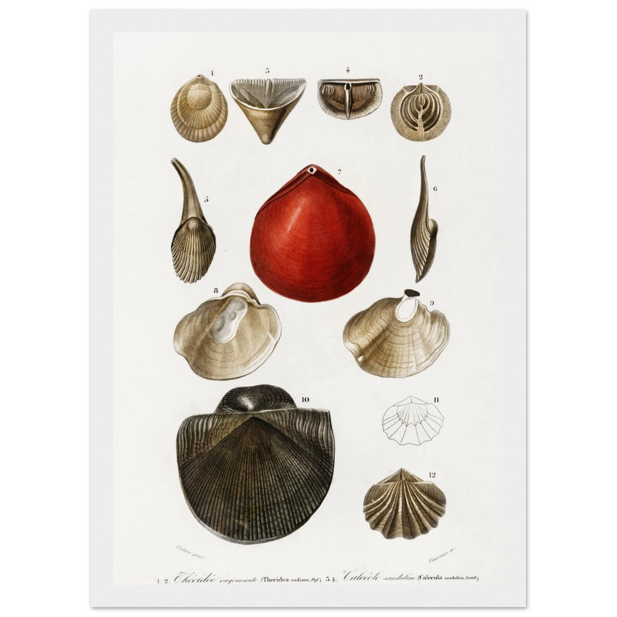 b6cc10a7-696f-486a-81d9-365b04ec154b