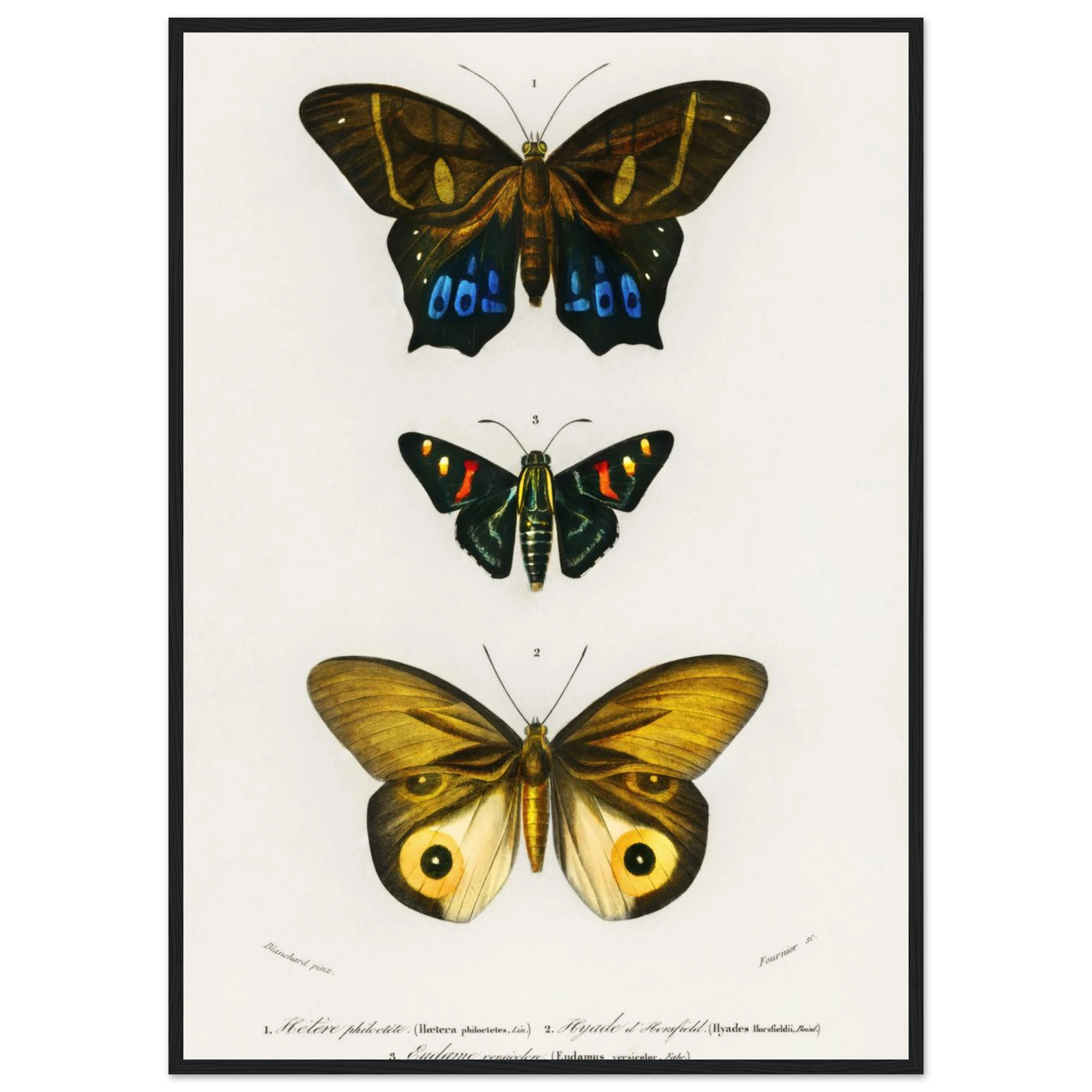 b6dd8237-c3c1-45d3-bab6-df6b8bd653df