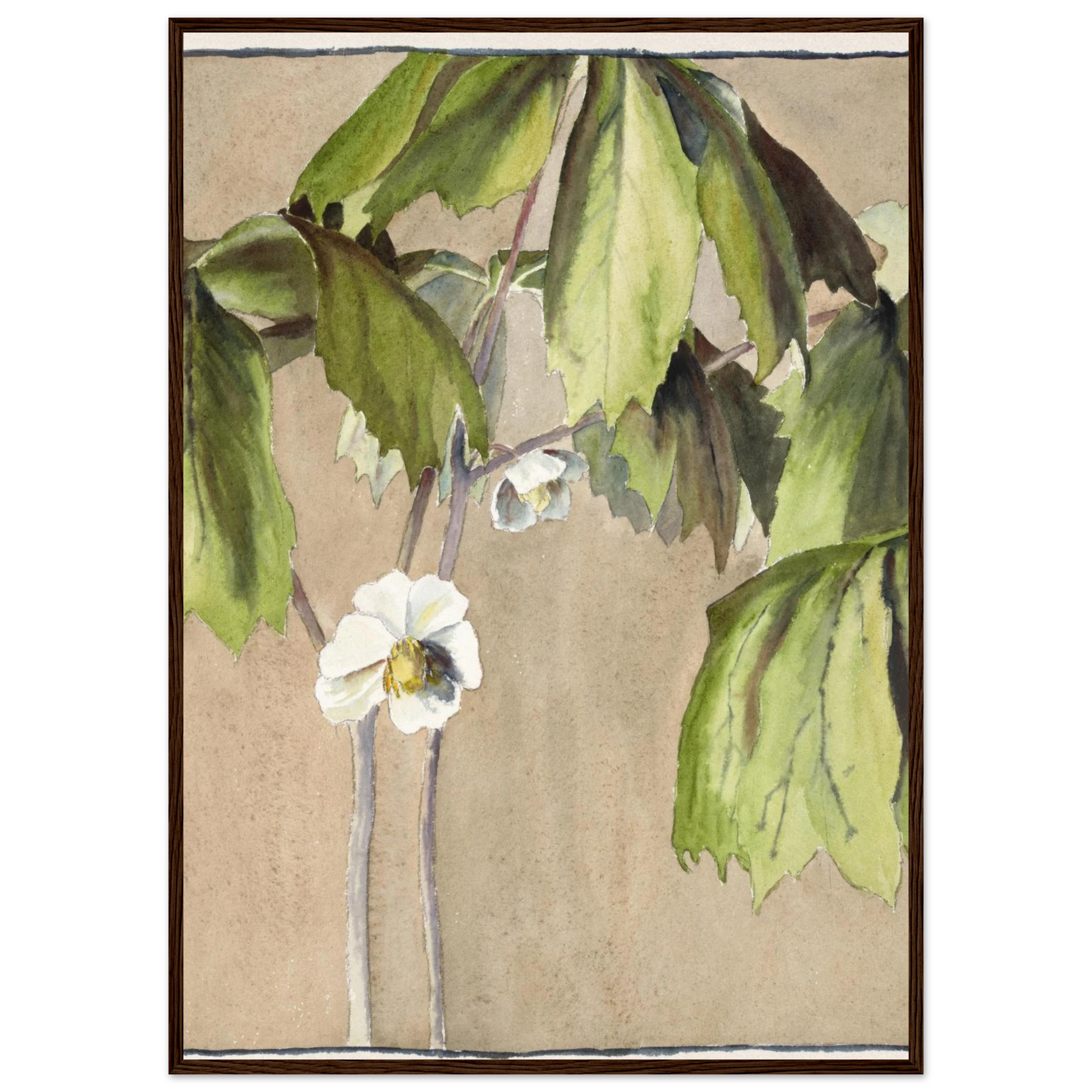 b71f4672-6fe7-4c92-944b-b3cdd171c1ac