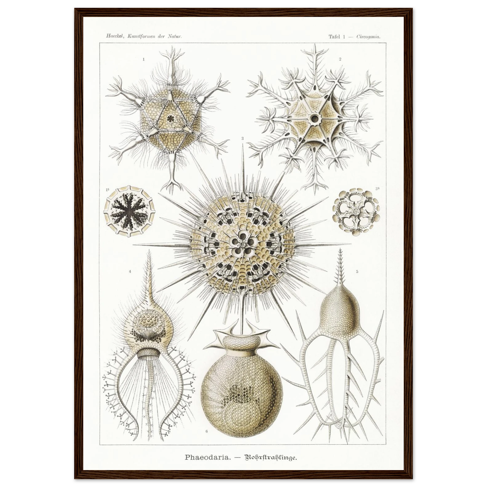 b7215c90-b84f-4643-866a-df5a1d5aa91c