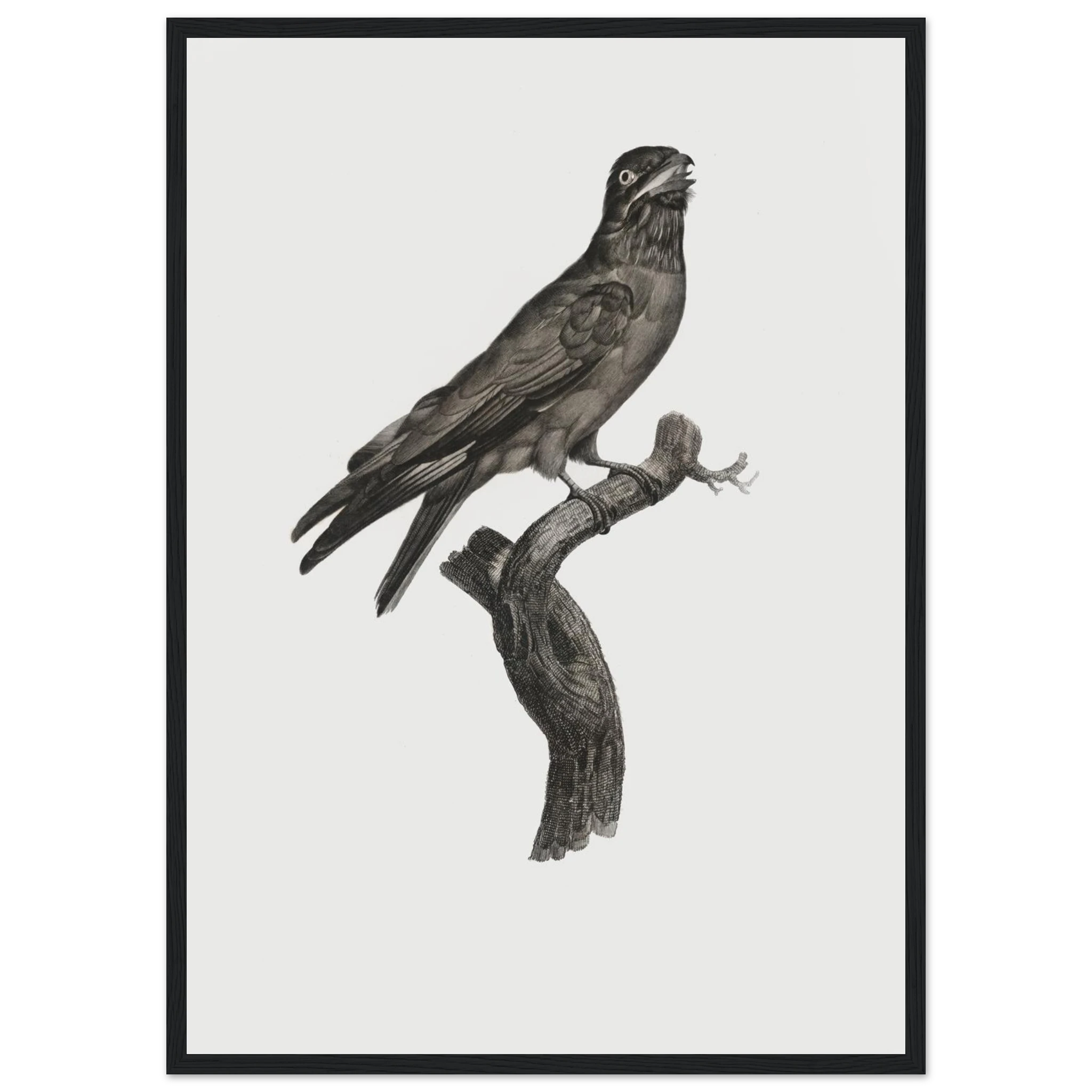 b72a3dfd-8c10-4af3-890d-fec5ba31a08c