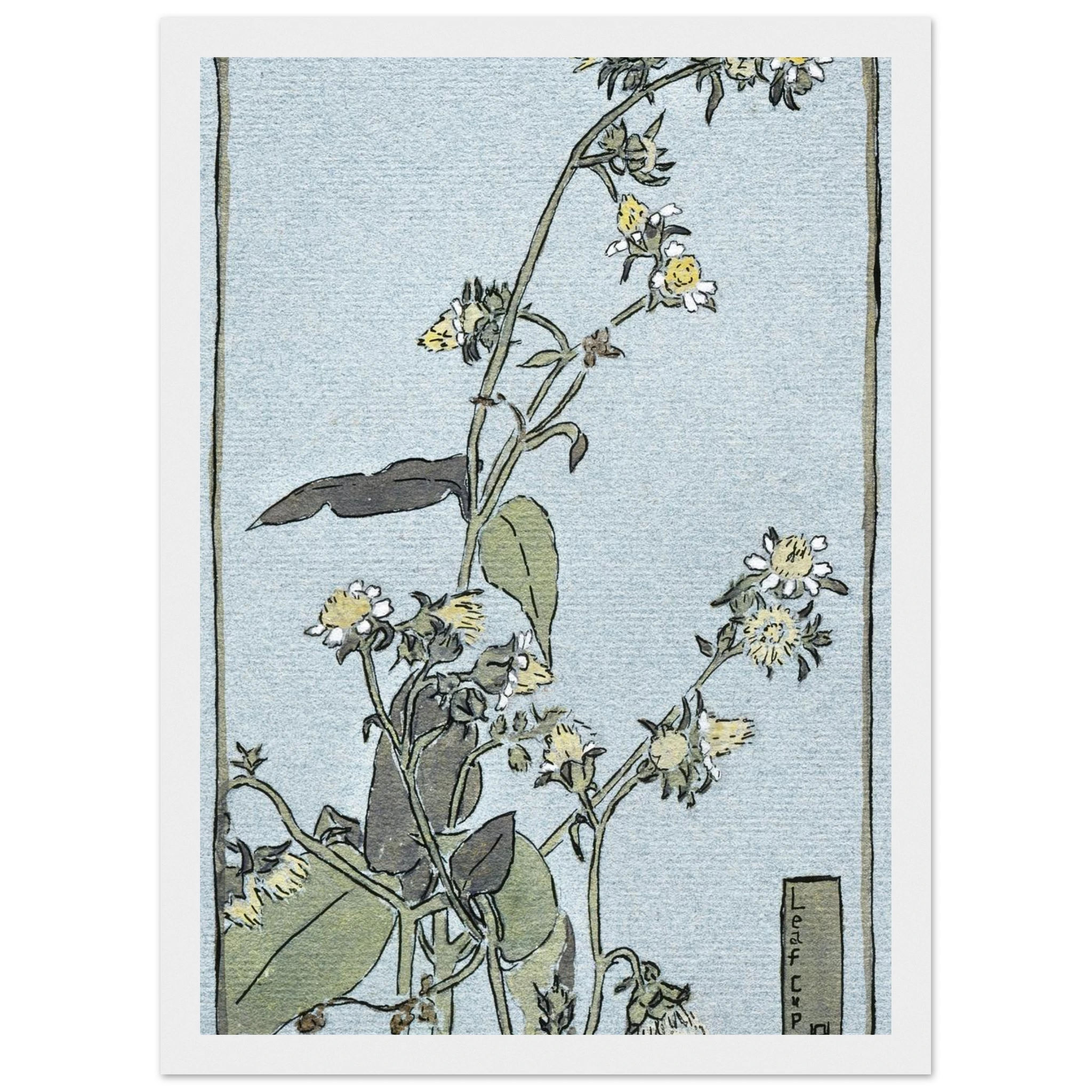 b74fdeb8-069b-4bcd-9154-aacf9a27c90a