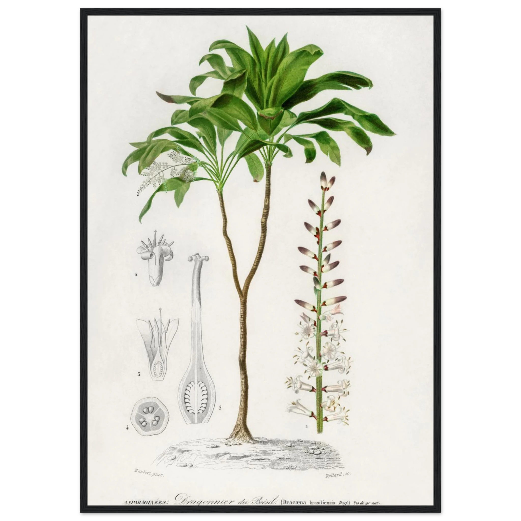 b75c8985-0410-4d23-b66e-3355e30a9ae7