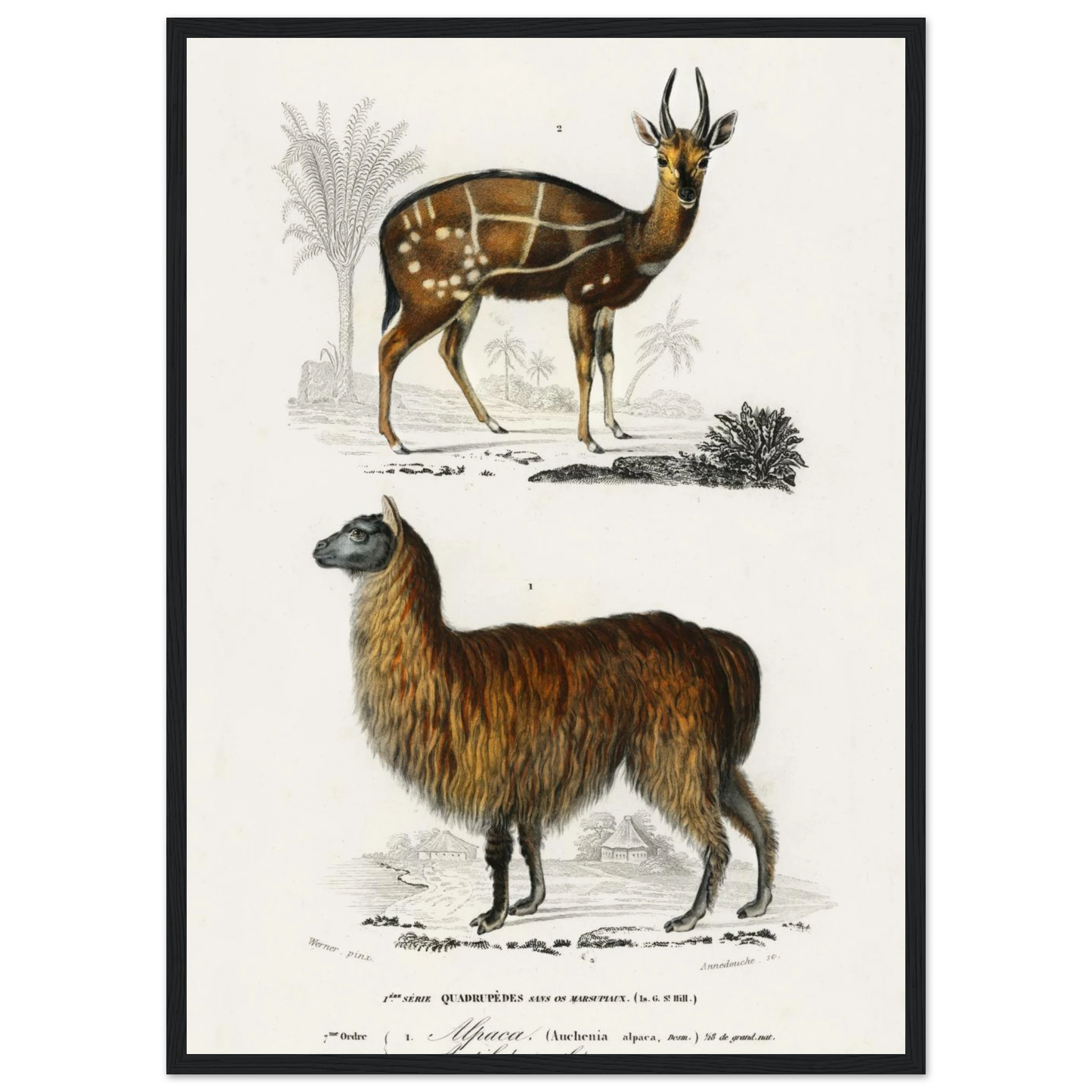 b7c251c5-5df0-4149-849e-461aa32339c9