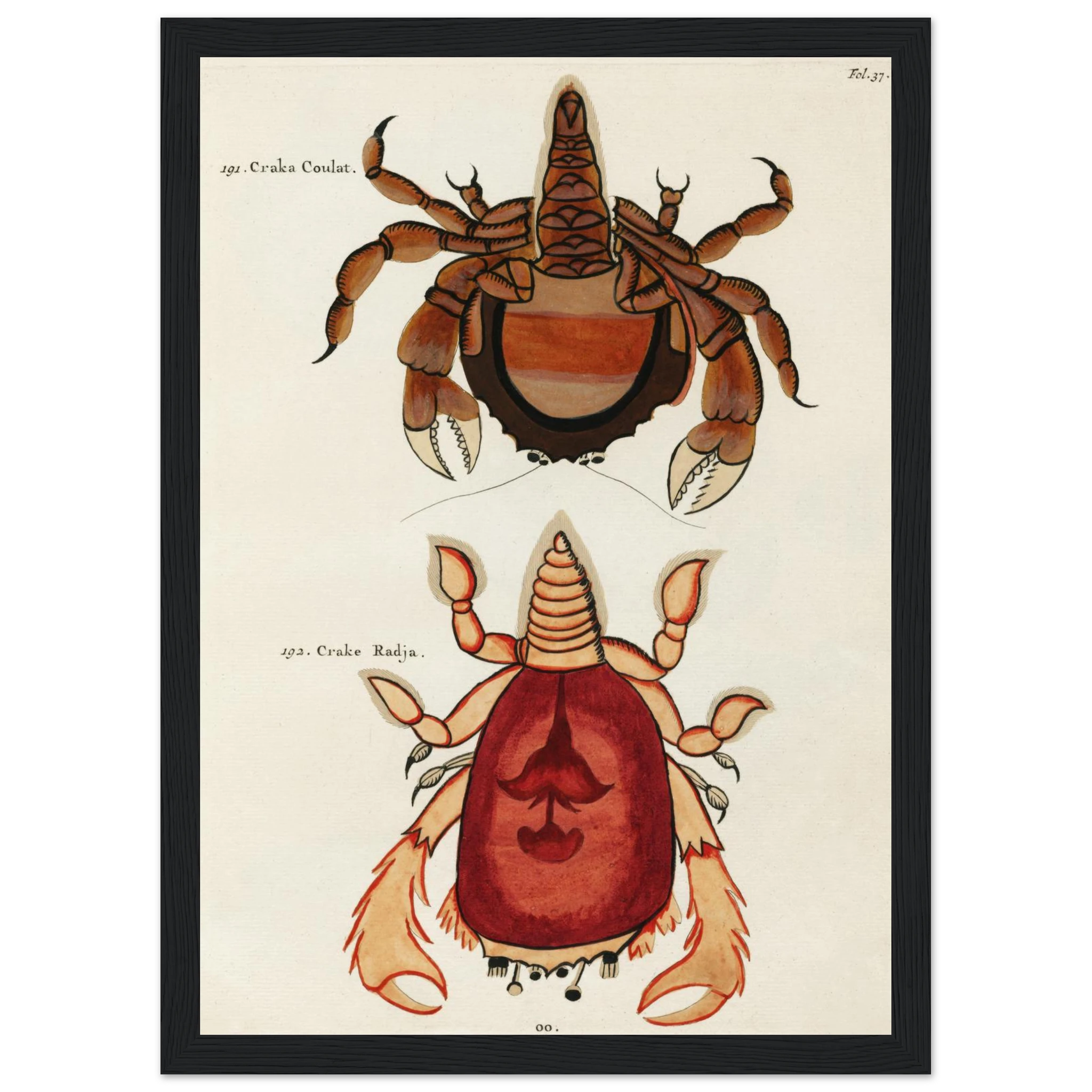 b805e2d2-928a-4088-b842-45f47d12391e