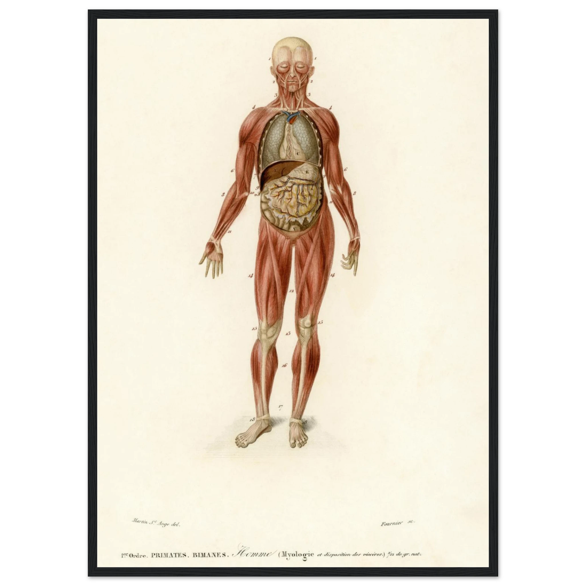 b81b3019-f557-44b6-9fc5-e51222e67184