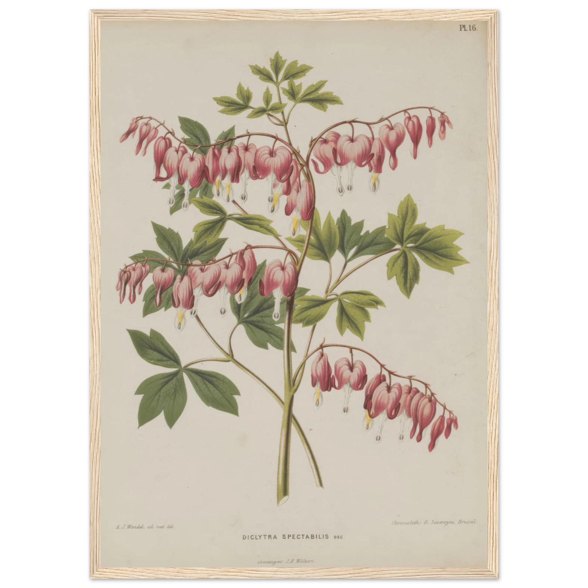 b81eec91-0a05-438b-9513-c5b6afd26ad4