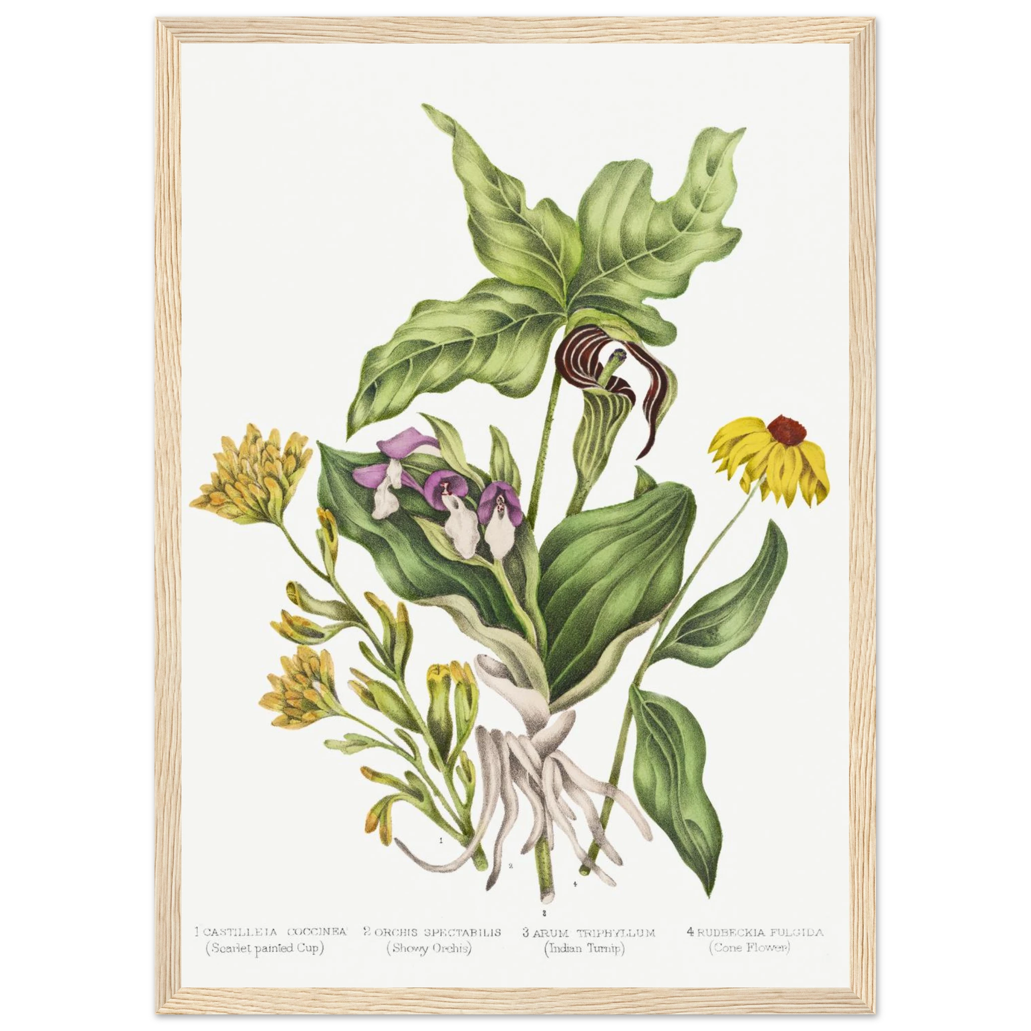 b8692414-502d-4309-a0ce-a93d88f4bc98