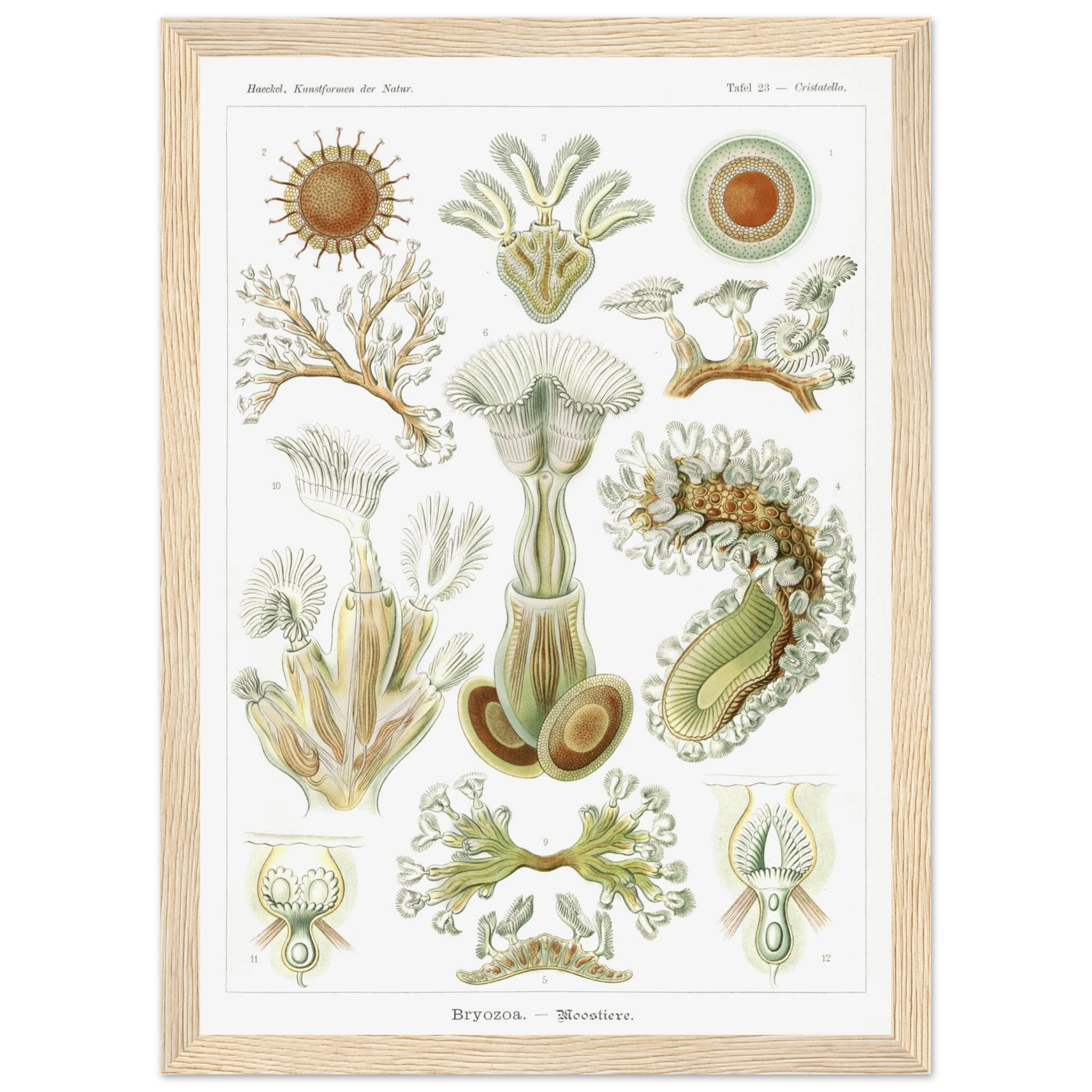 b8bc1107-70ed-4a5a-929b-24ce9d272a8a