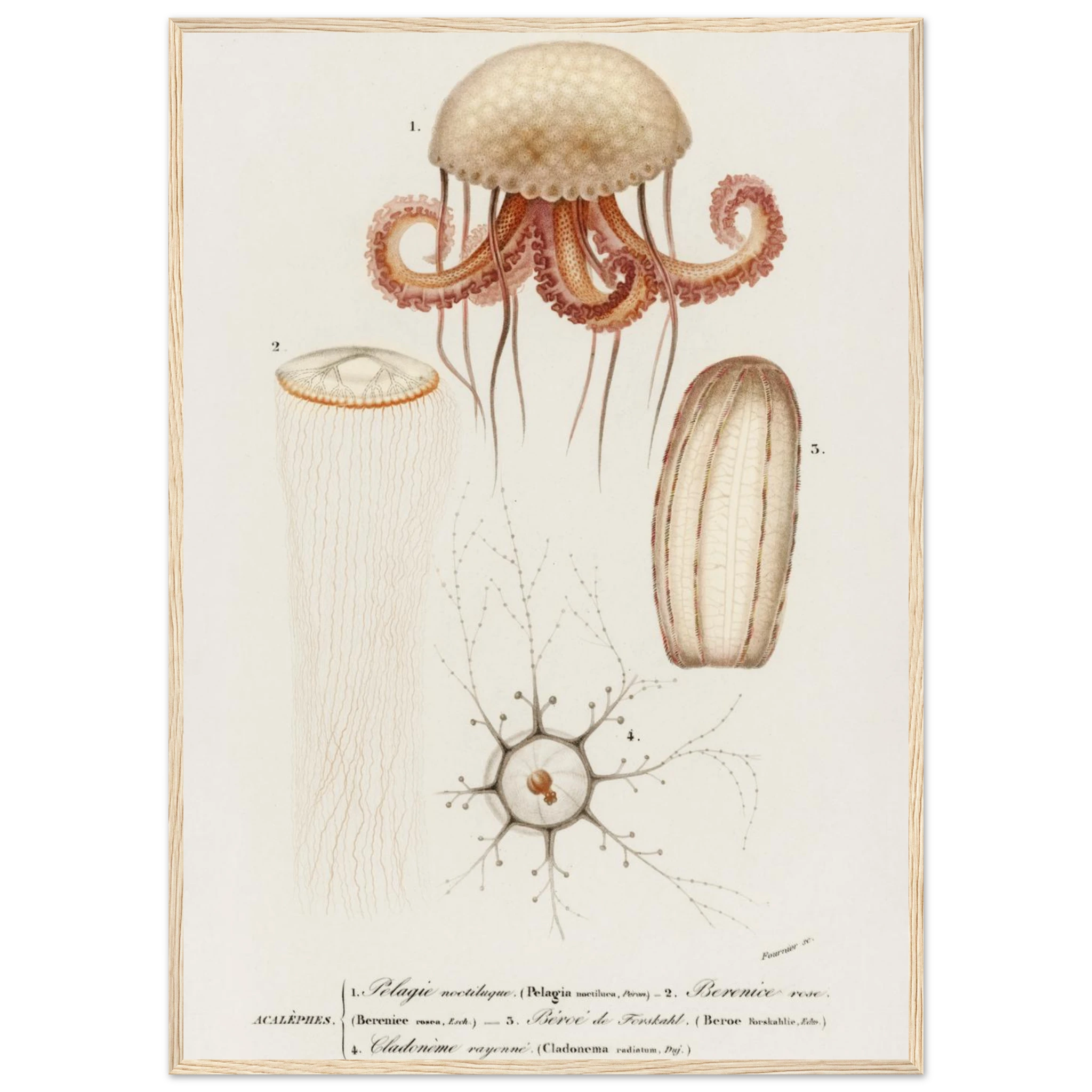 b8c71d4d-9fdd-475d-a787-44b22fc64d36