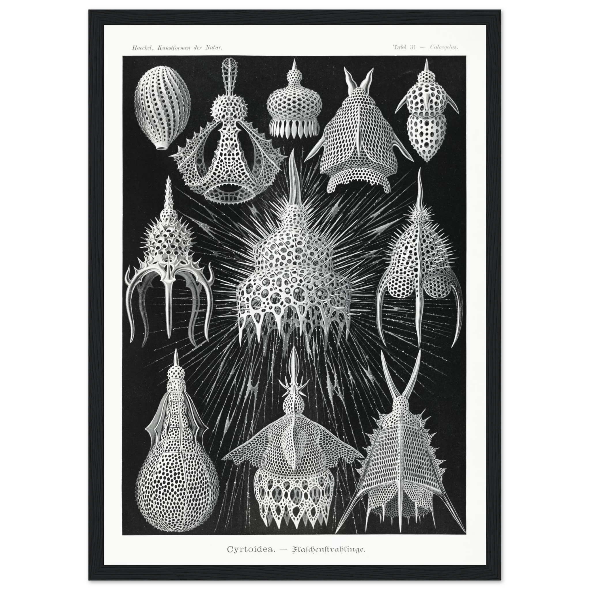 b8d7bf6d-2767-4e8e-ad67-bd76dc3a650f