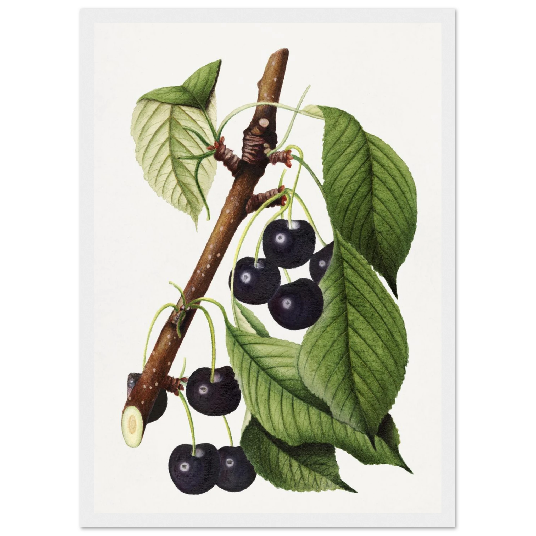 b900f427-e411-4a14-8715-34d12f8ca141