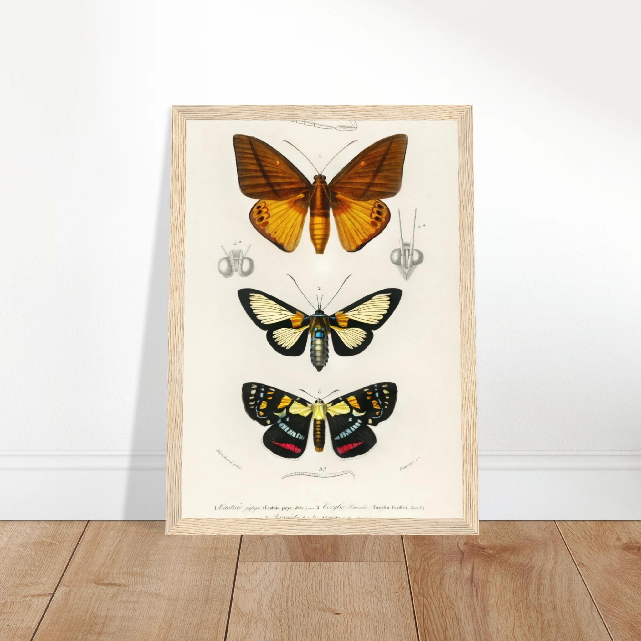 b90ea4d1-d412-444a-934f-dea97320af91