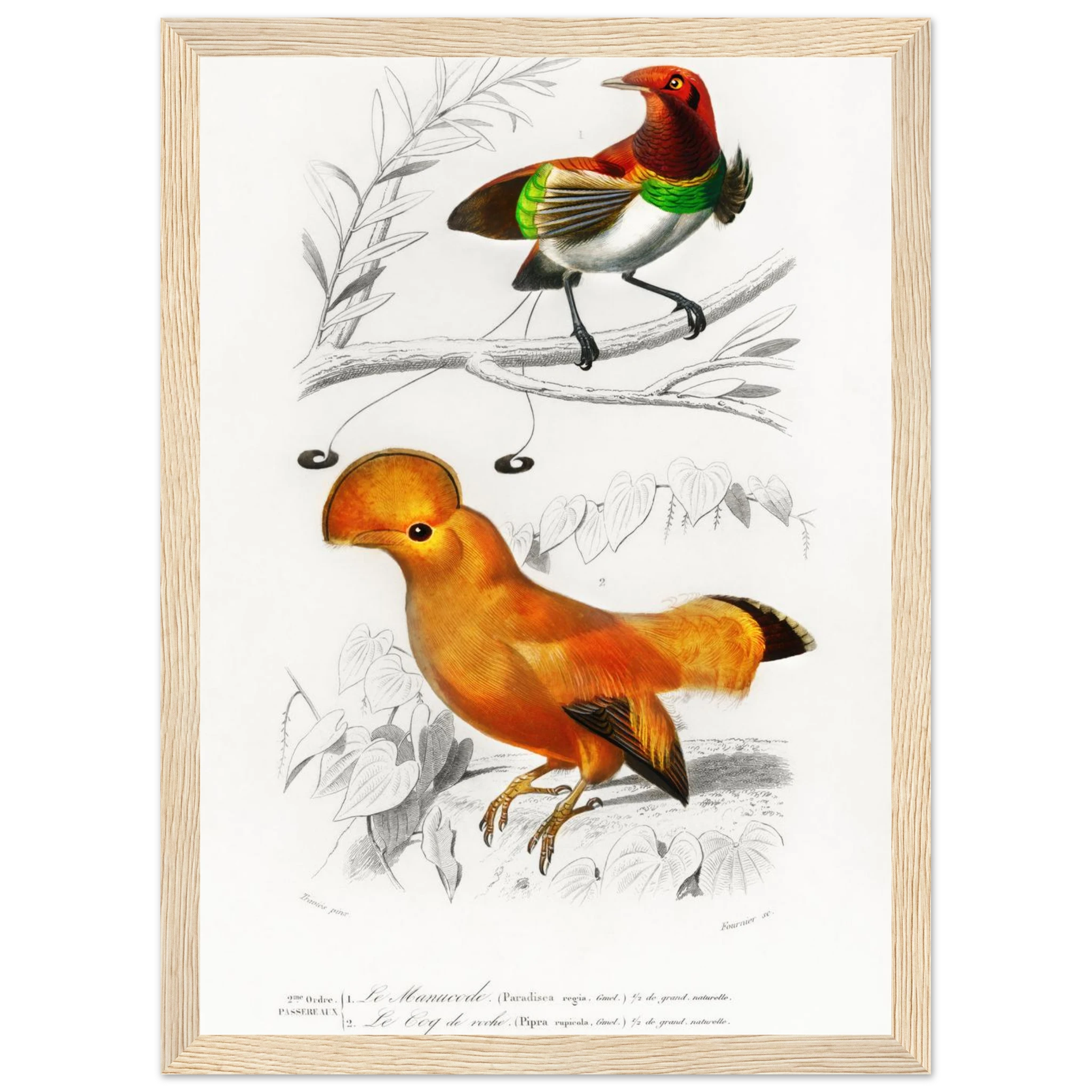 b94335a9-965d-4c23-8057-0b5c6205d2d4