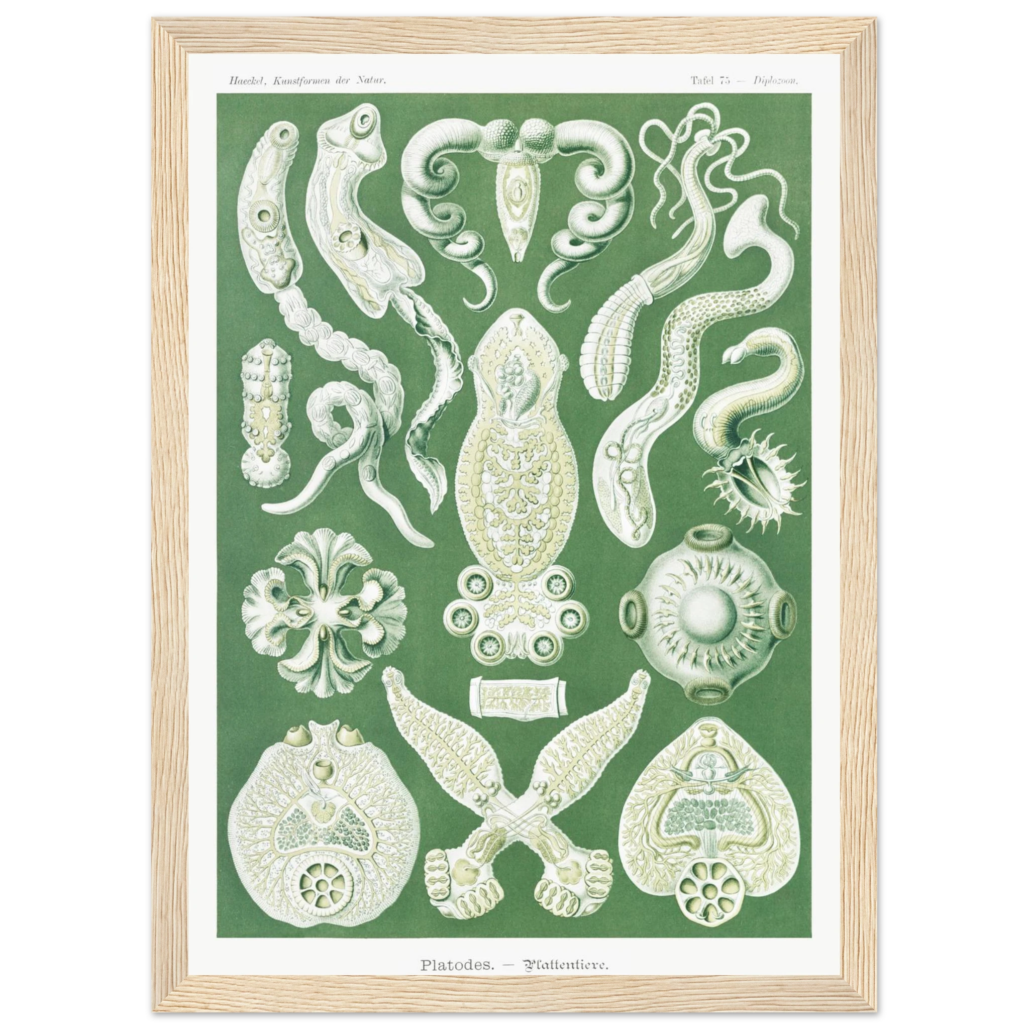 b94d2e22-145b-4335-9480-680a44ce913a