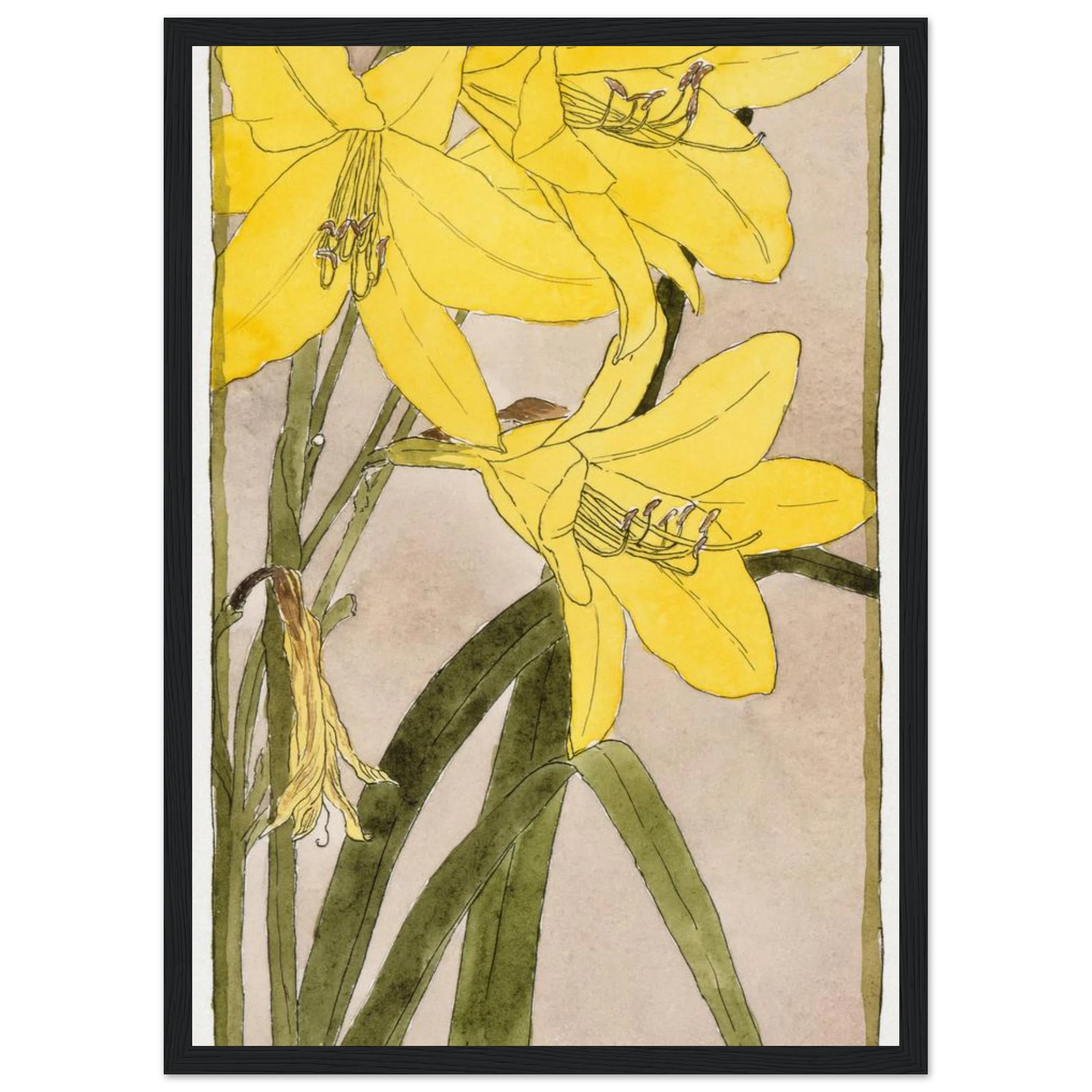 b950f127-4f3e-4b93-b41e-592a04f9d5dc