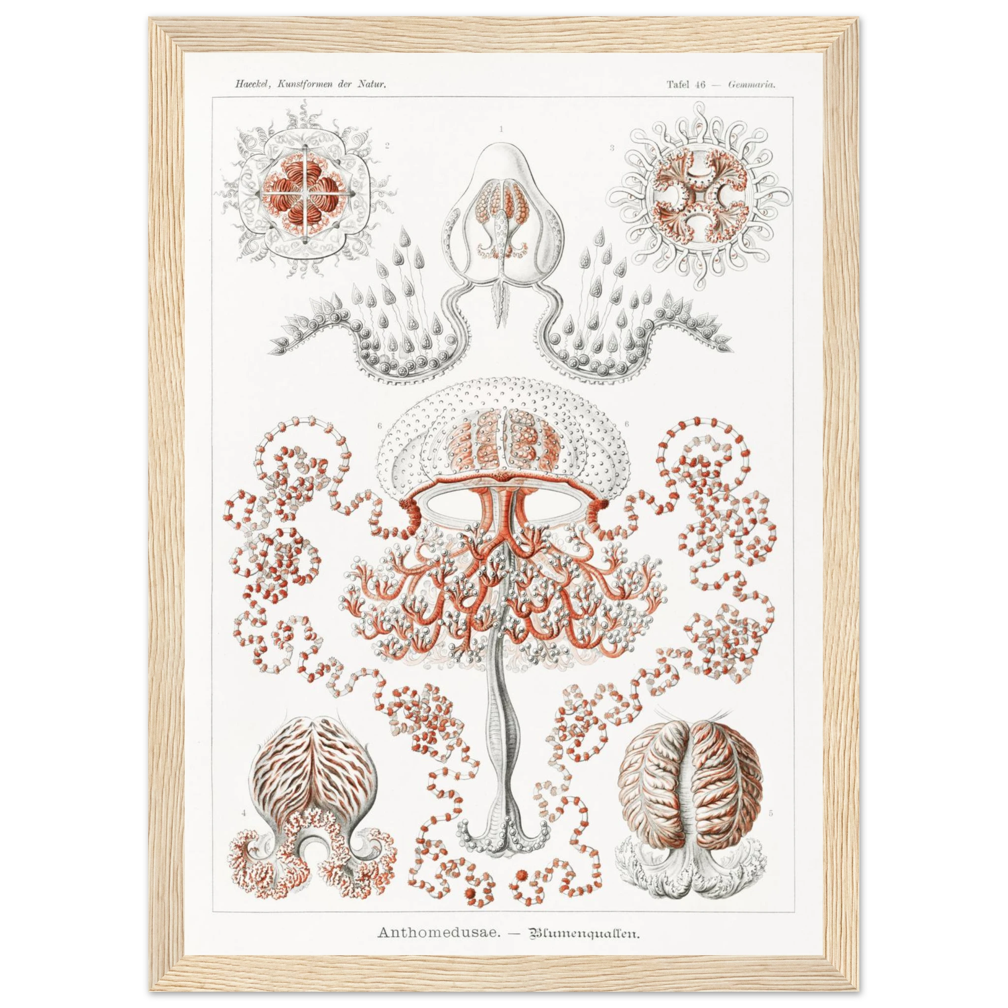 b953aa50-3915-4953-a1e2-b2de60976f23