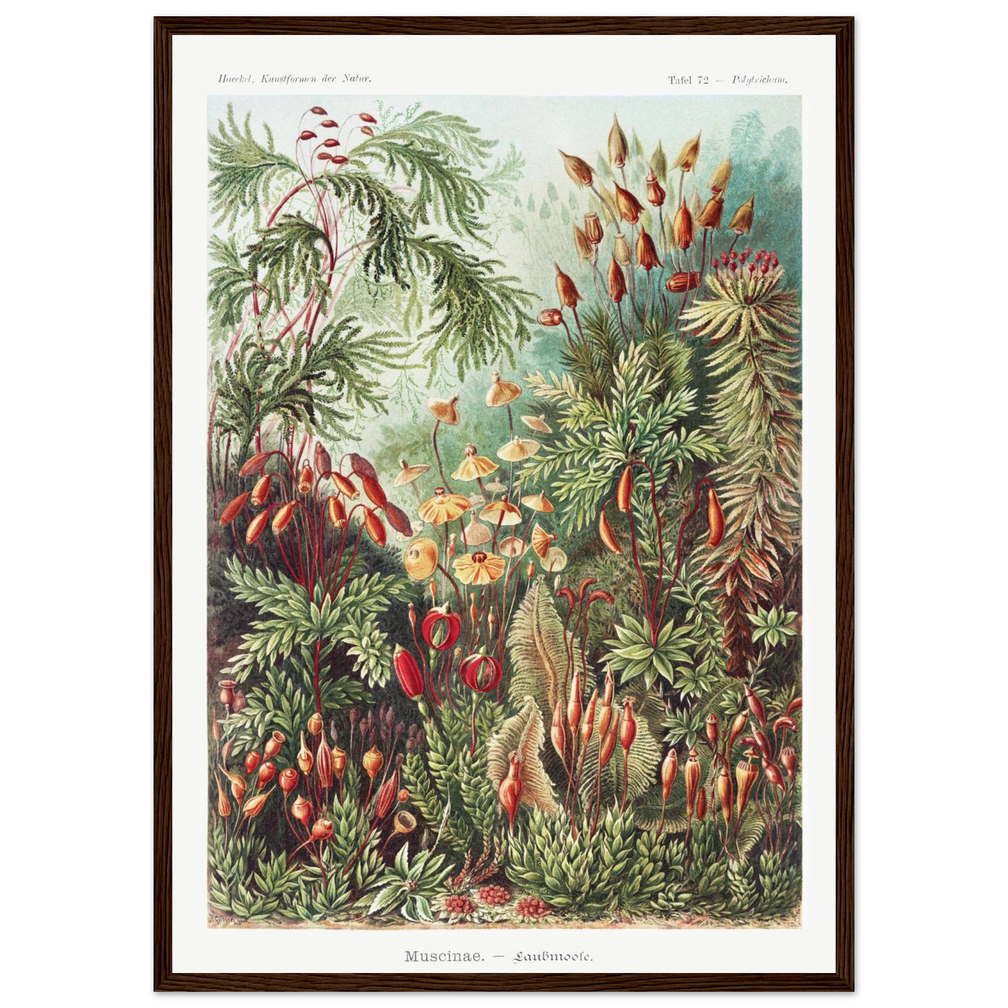 b979c601-9f33-4941-be79-468063c302cc