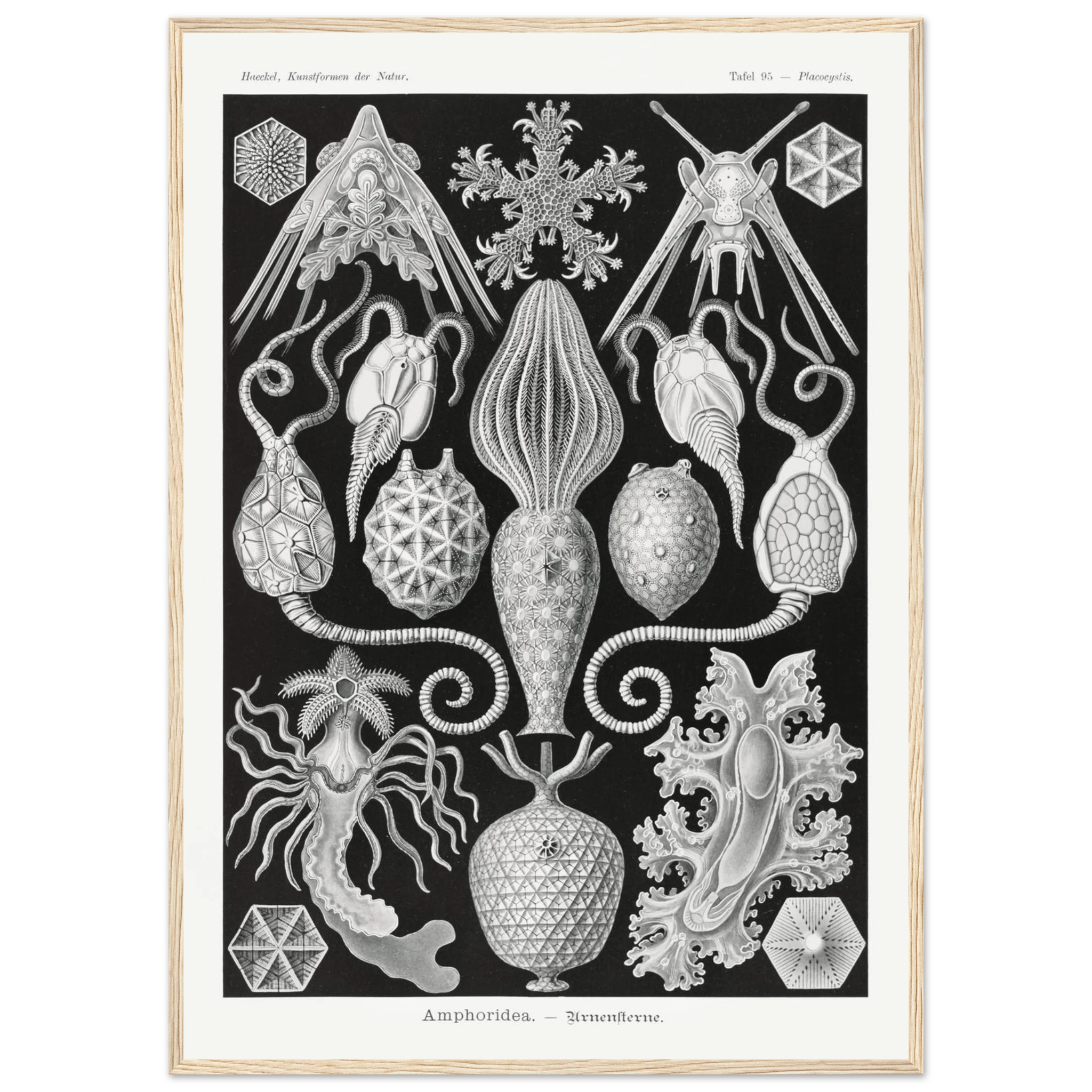 b9a0f73e-f6e7-4002-8853-311b7ac4d1b8