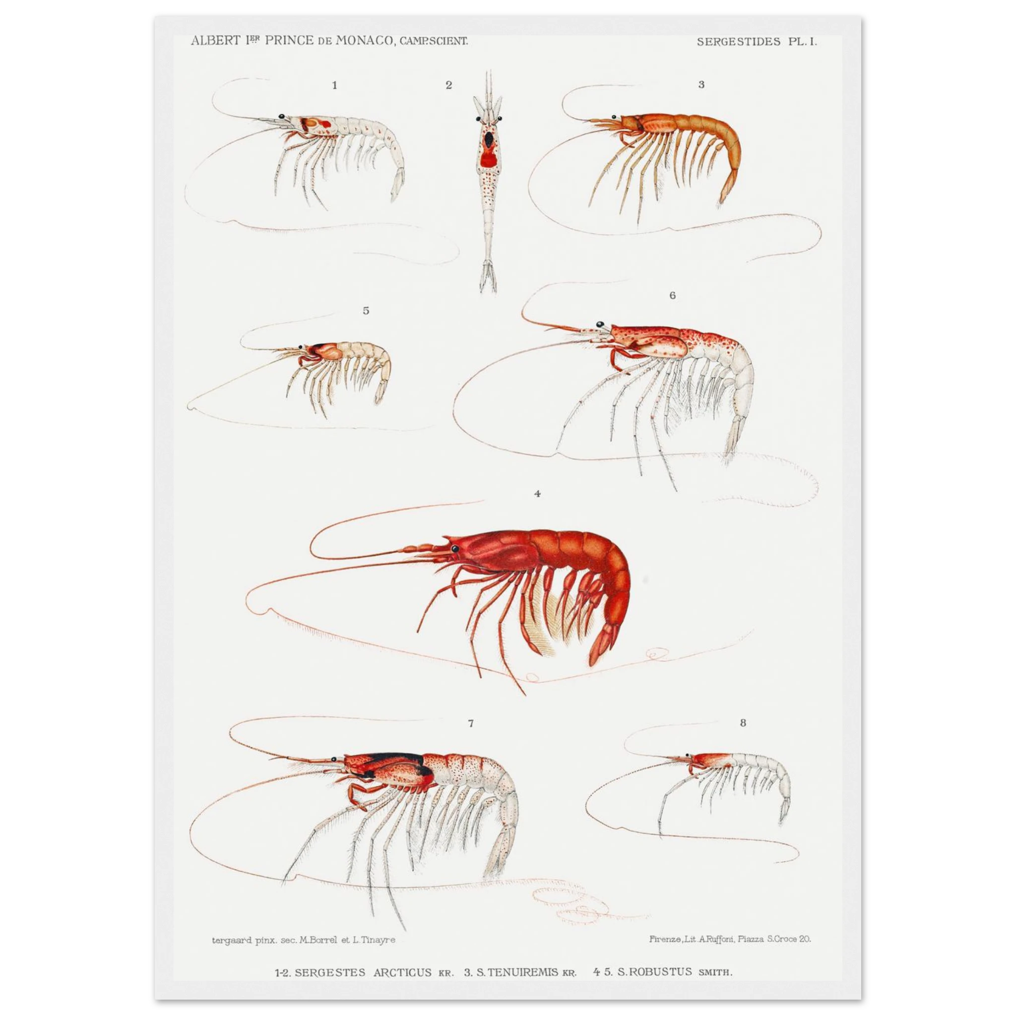 b9bda457-6298-44de-bfc8-48461bed27e3