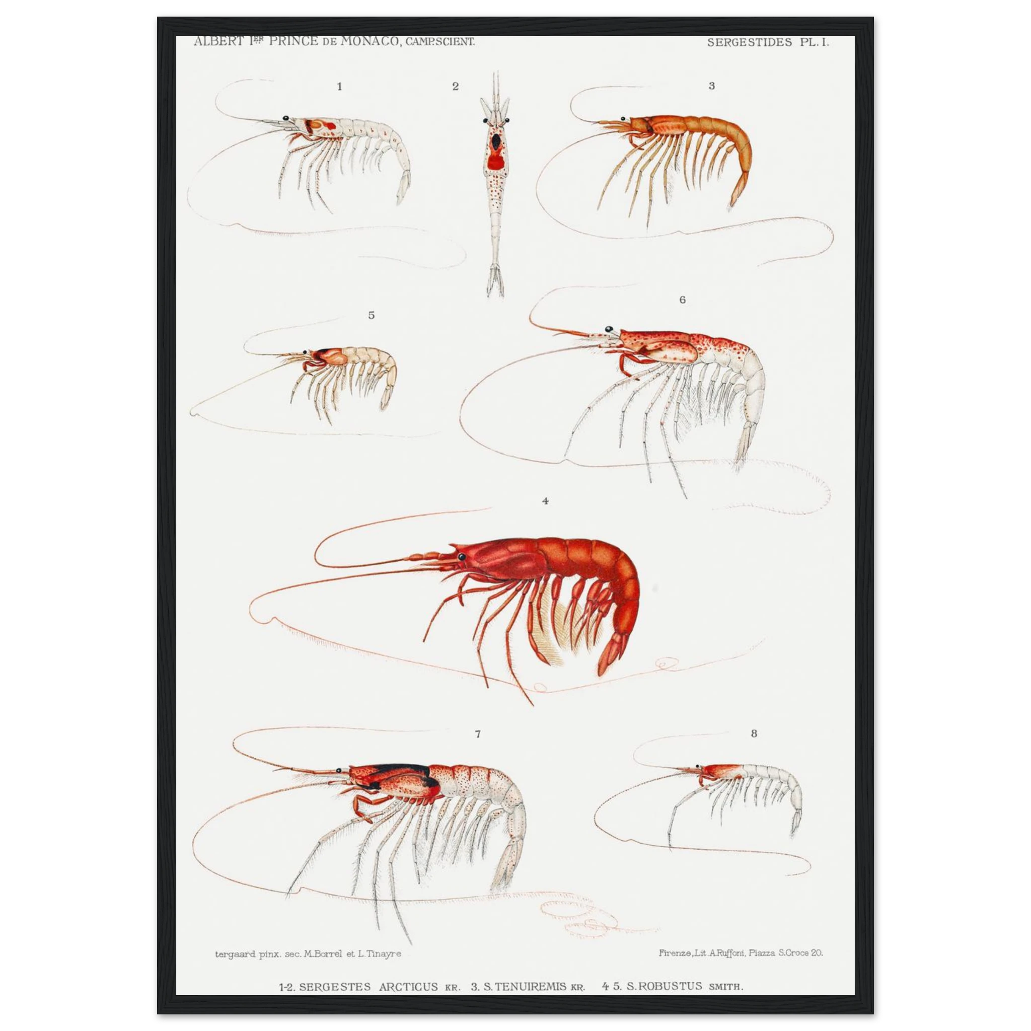 ba3e942c-be39-4583-9b8a-70fc69598a75