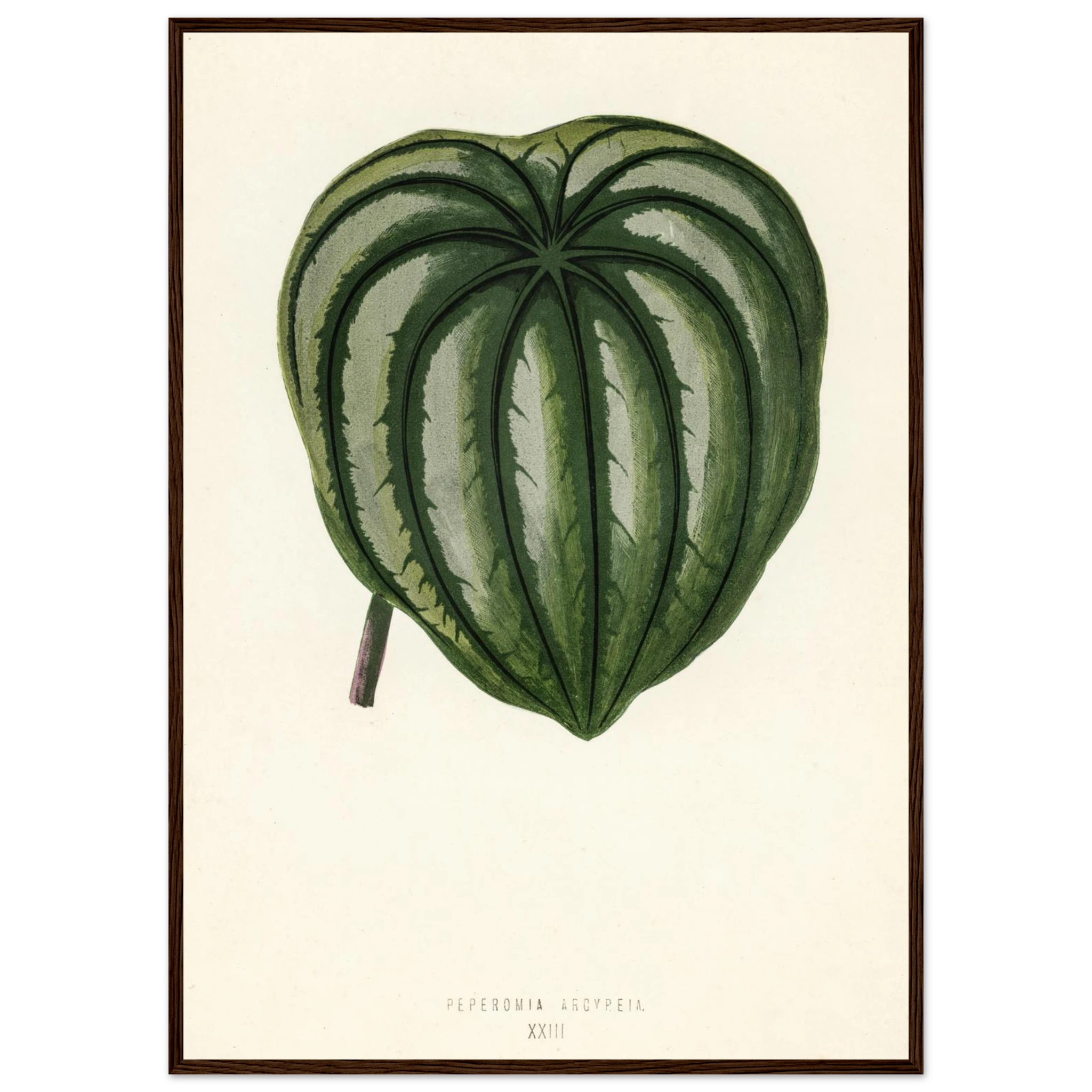 ba5847fa-2b52-4dab-92fc-80d86948aa84