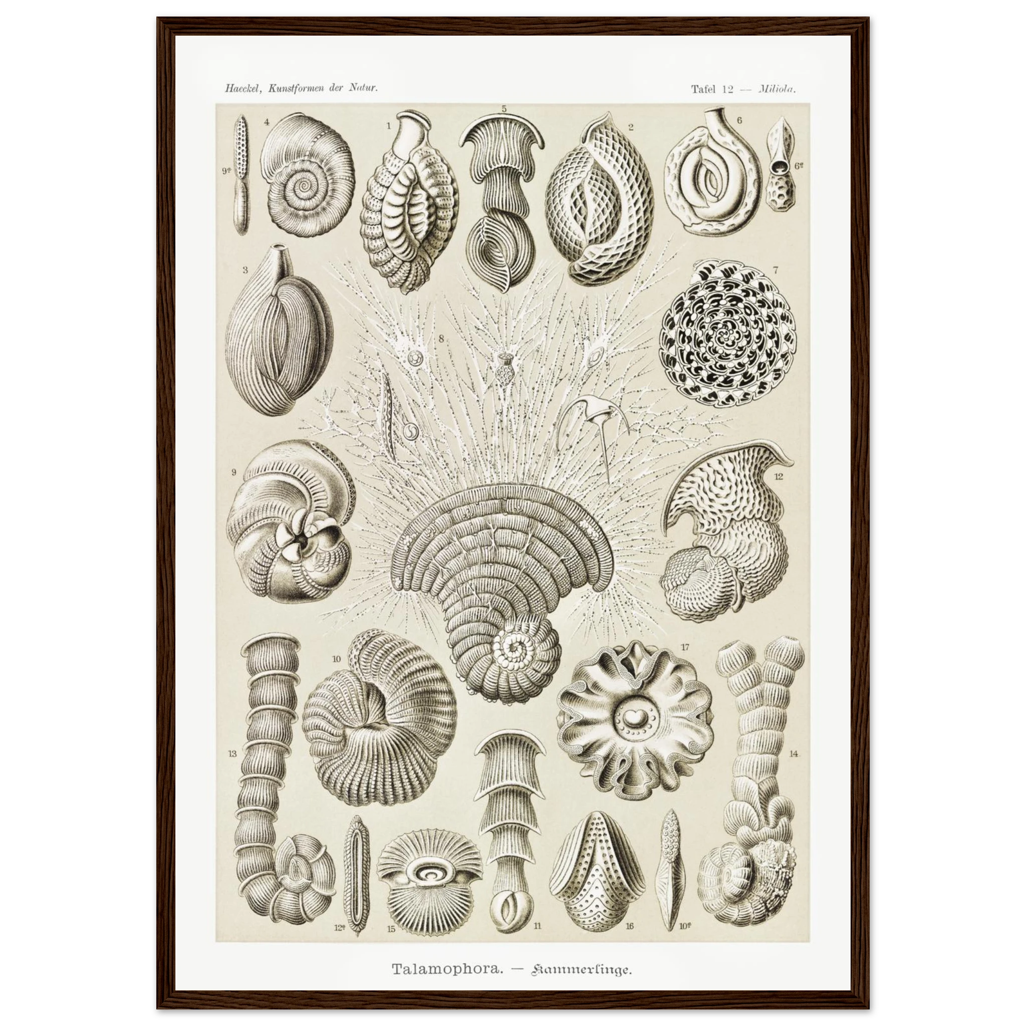 ba84fcca-01bb-40c3-8b70-1e77a5a1dc98