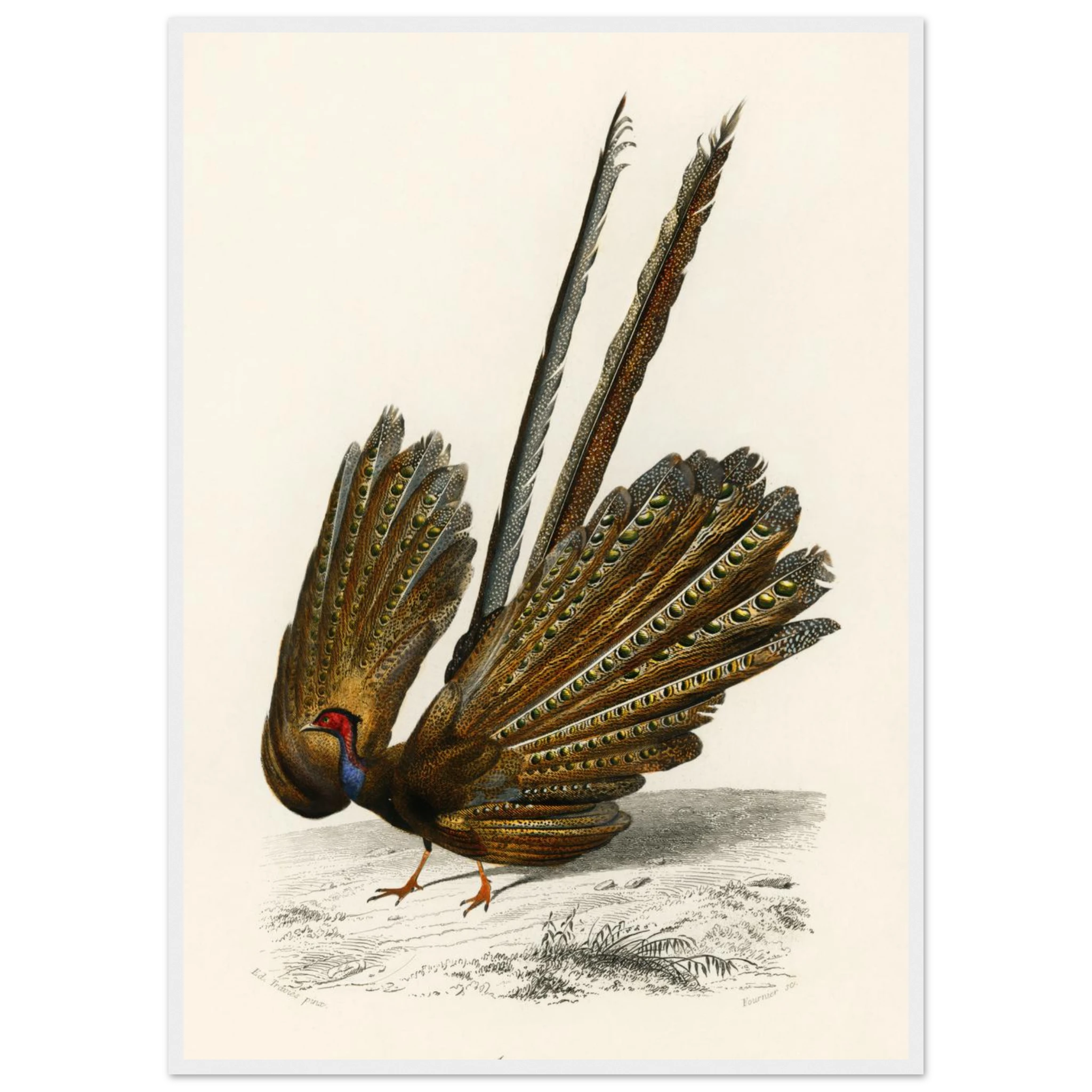 ba897acb-c7ee-47d0-8612-e5a465f46aad