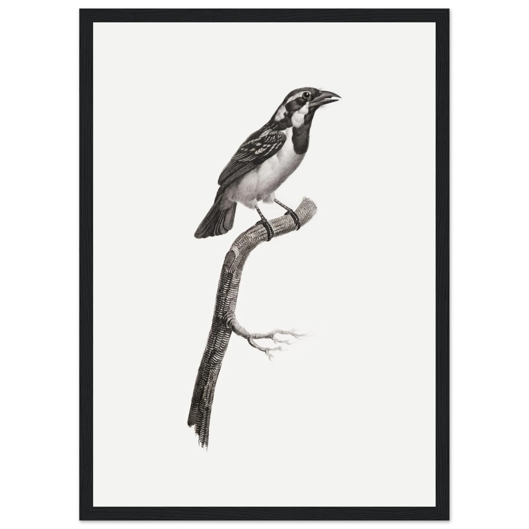 ba8c37e5-dd73-48ad-a37b-d19ac7645bf0