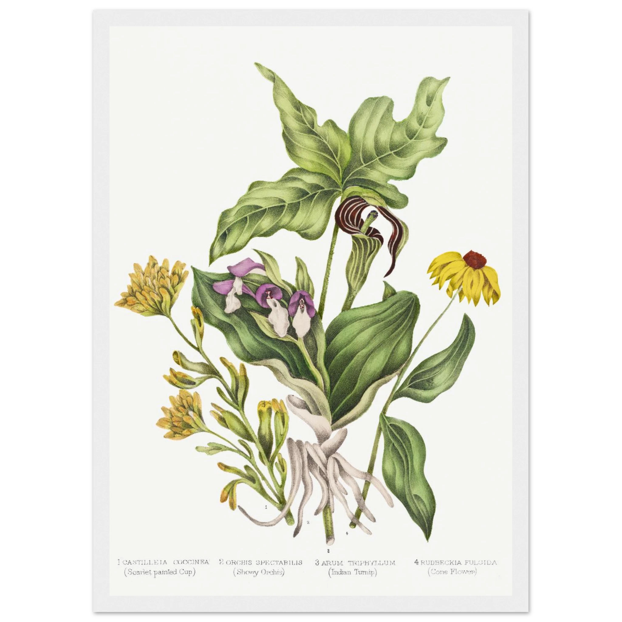 baa642c8-d33a-4dc0-a540-038713ce338f