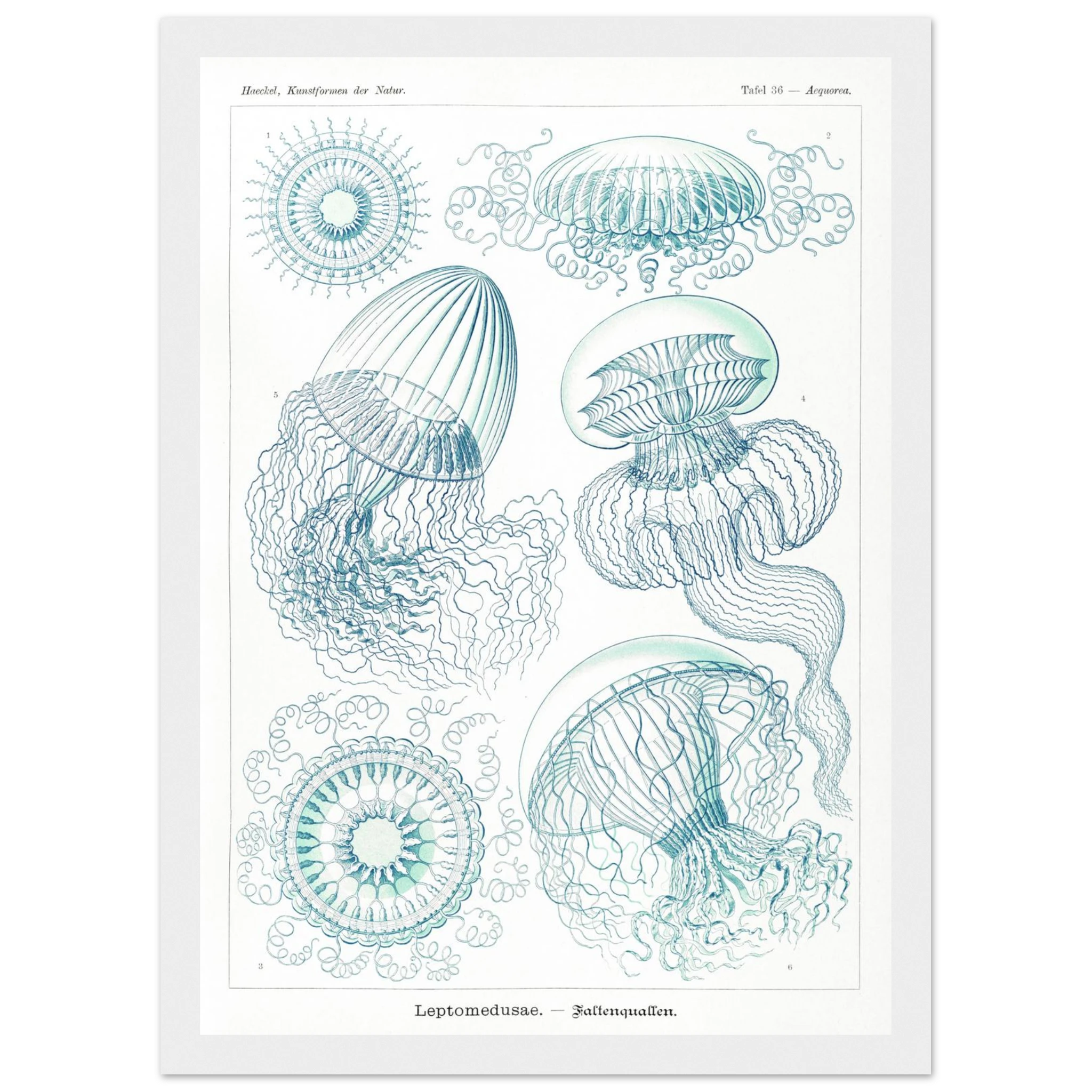 bacf1d9d-bfb4-44e7-9f2c-02620e3498e2