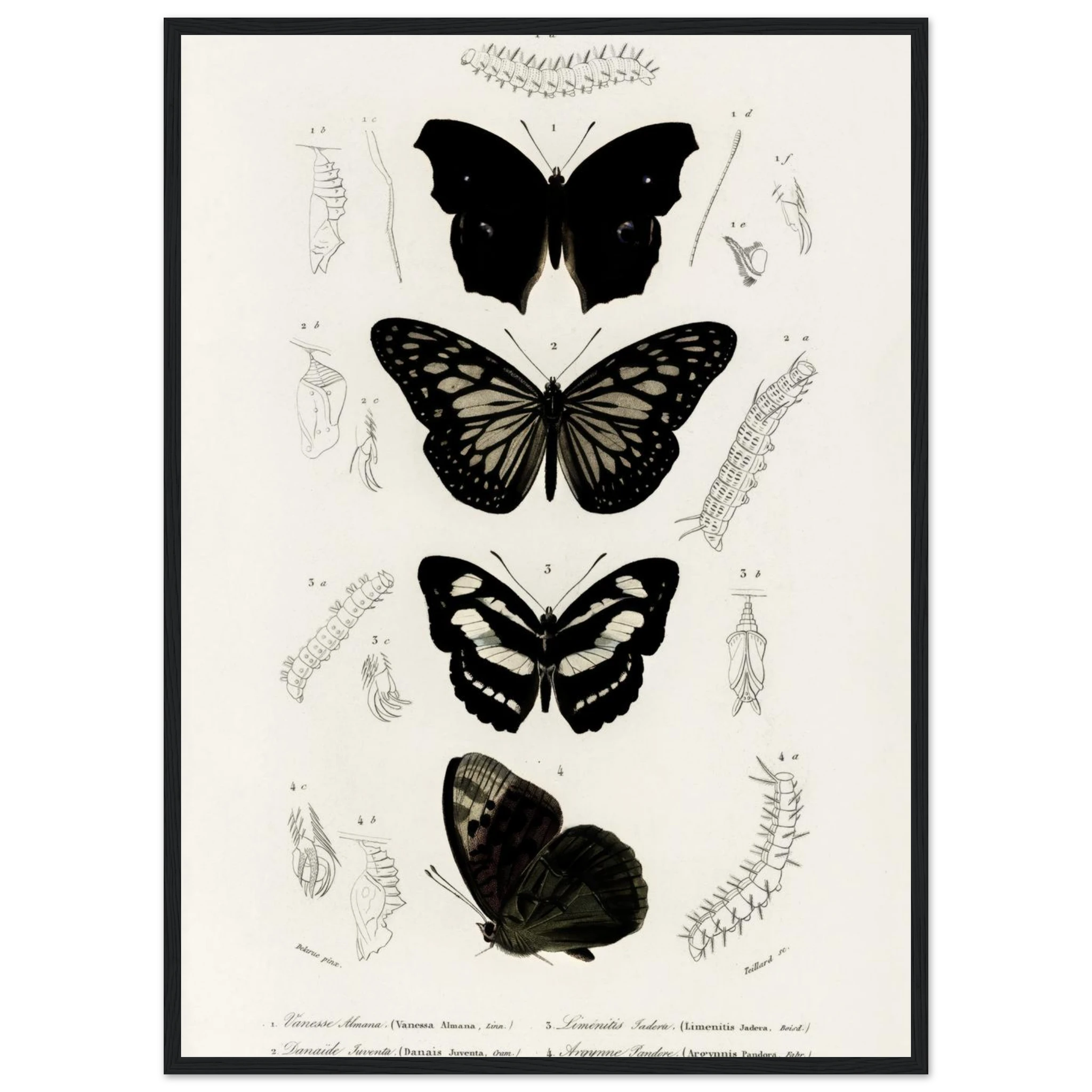 bae3cb37-74ae-40d5-b6c9-dbea45cb61e7