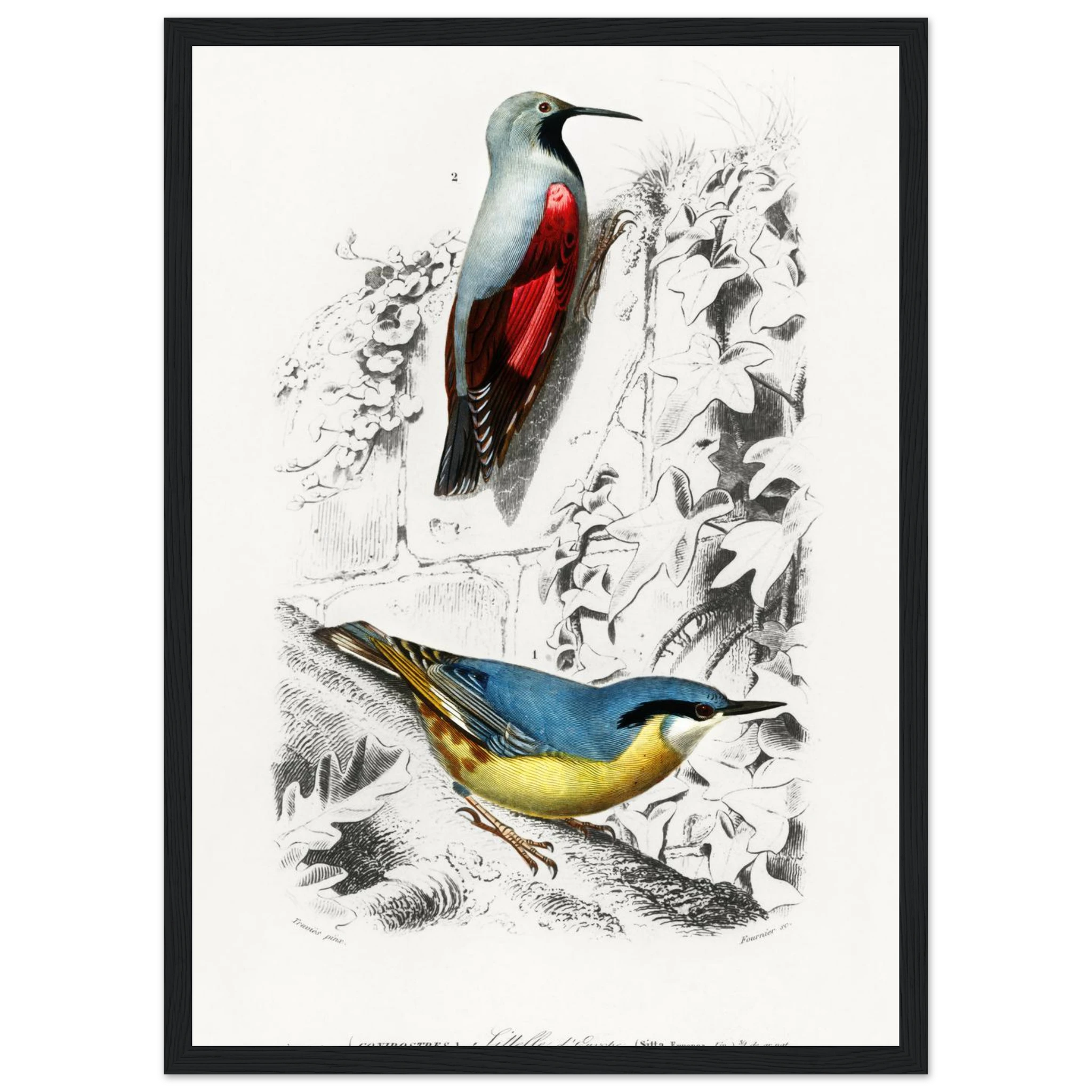 baf39cea-1eaa-4713-a7c4-f99316314c8a