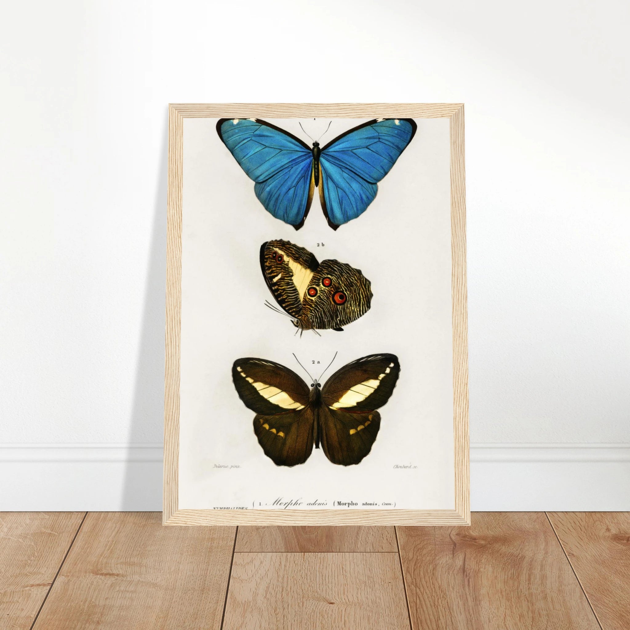 bb09fee8-b7f2-4755-86ed-a4623a0ff7d3