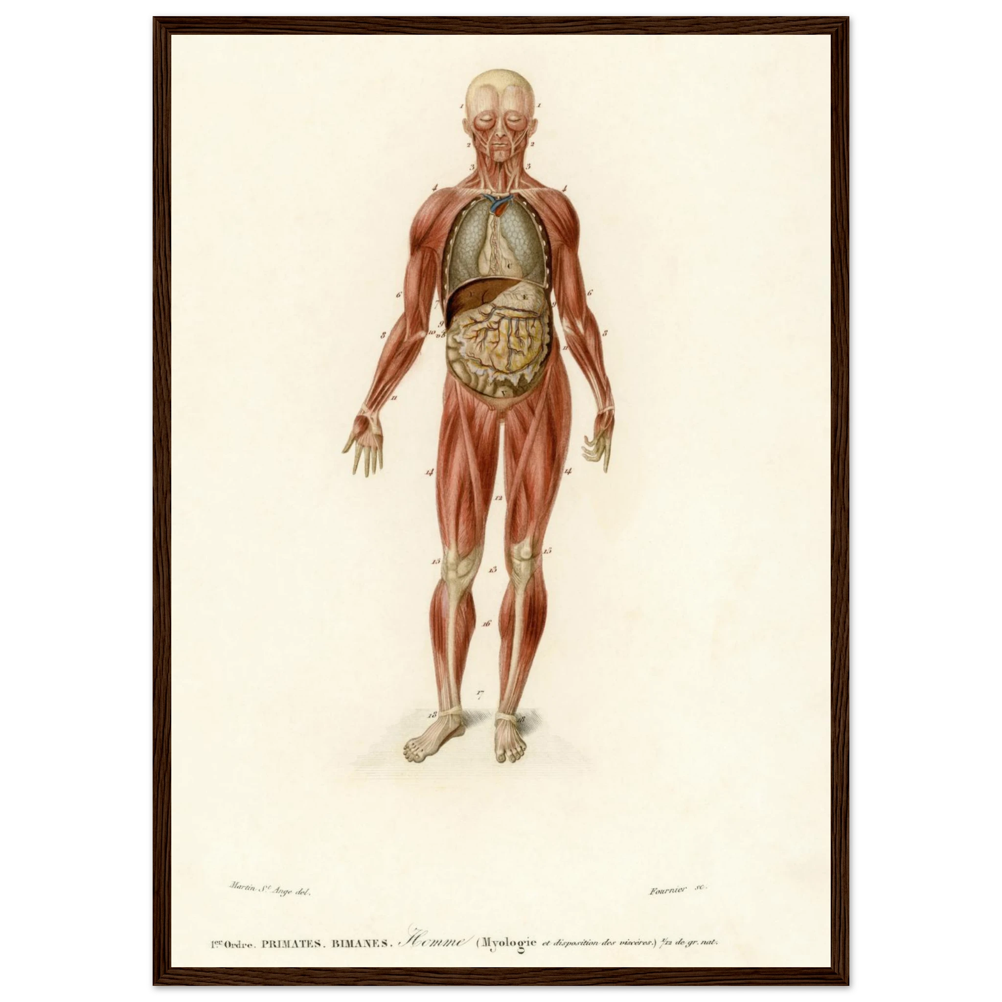 bb498903-81d2-4e51-be0d-4b54d7a0ea16