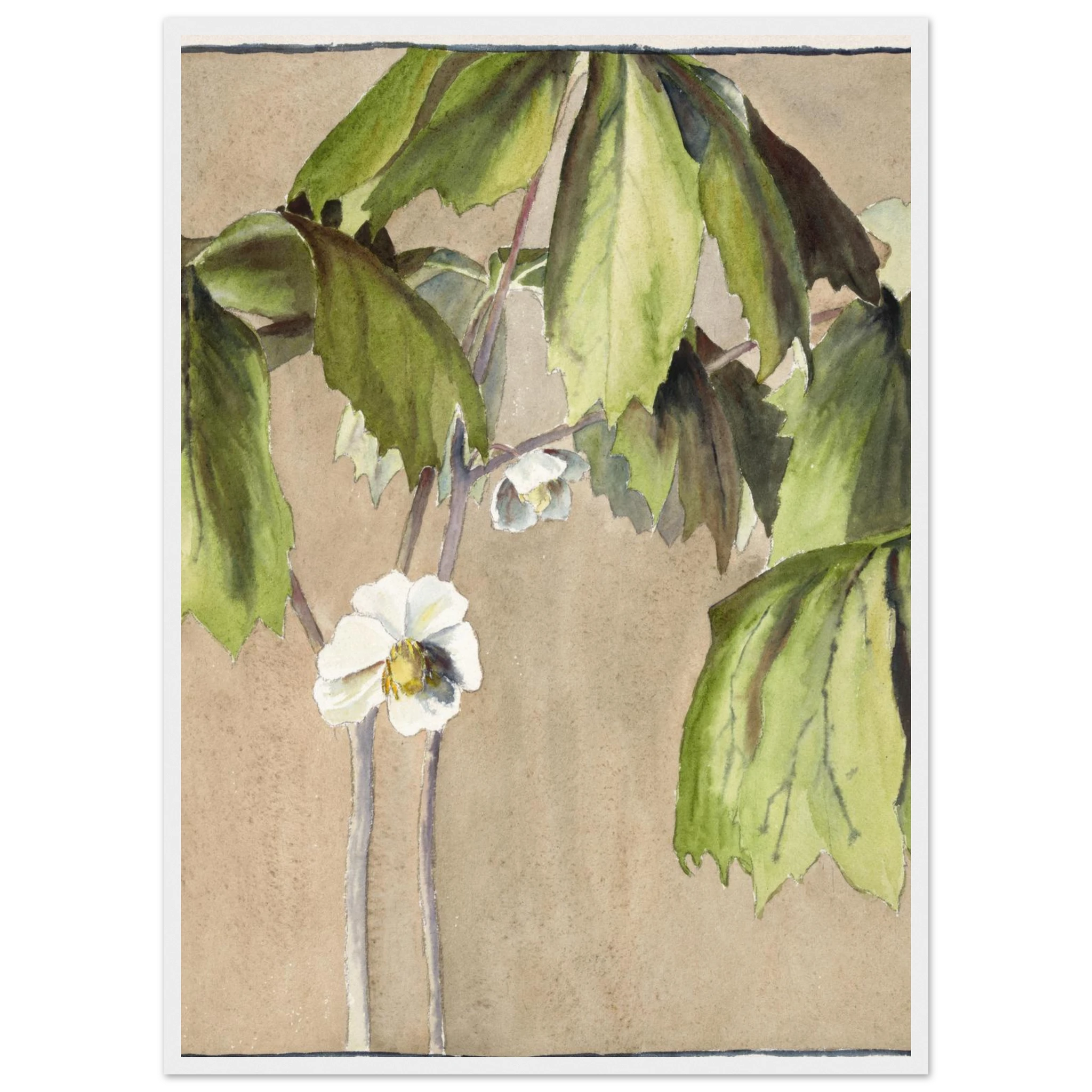 bb85dc8a-9251-4890-a821-85a6ba6ab19d