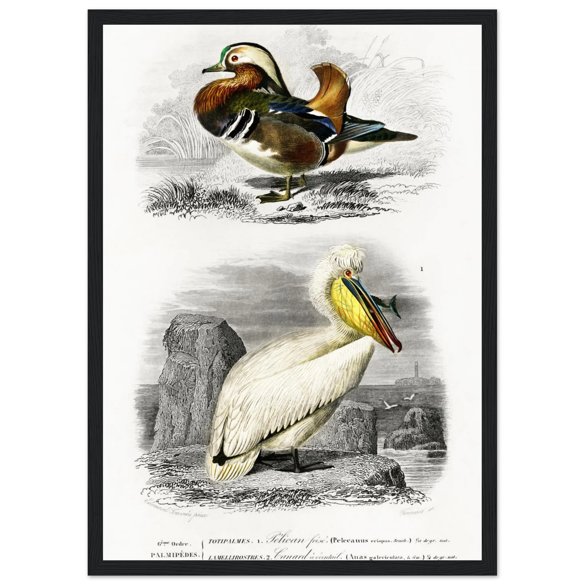 bb9aee4c-e358-4745-b9ce-5dd2a320cd44