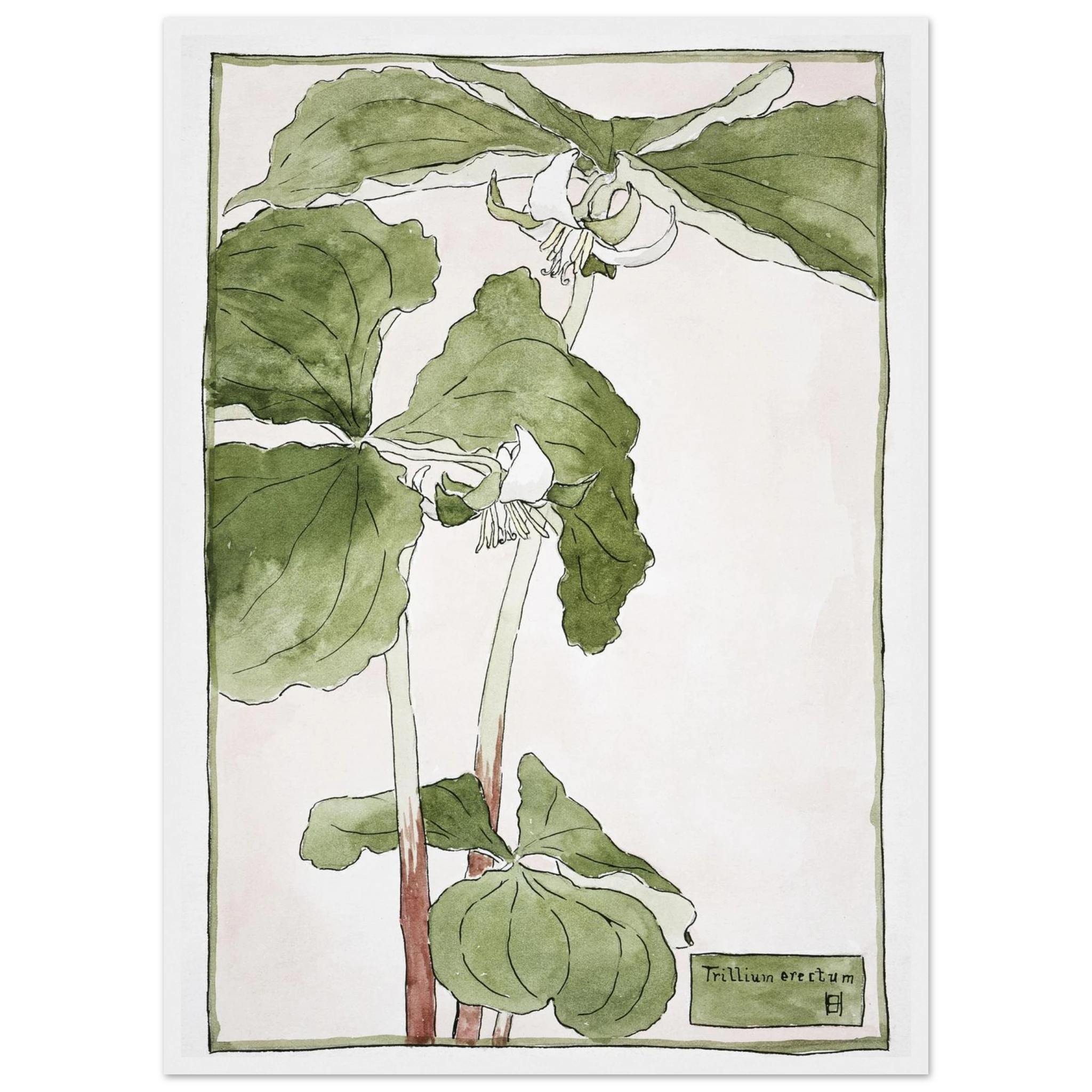 bbb436cc-868b-4b64-b16a-3922615fed99