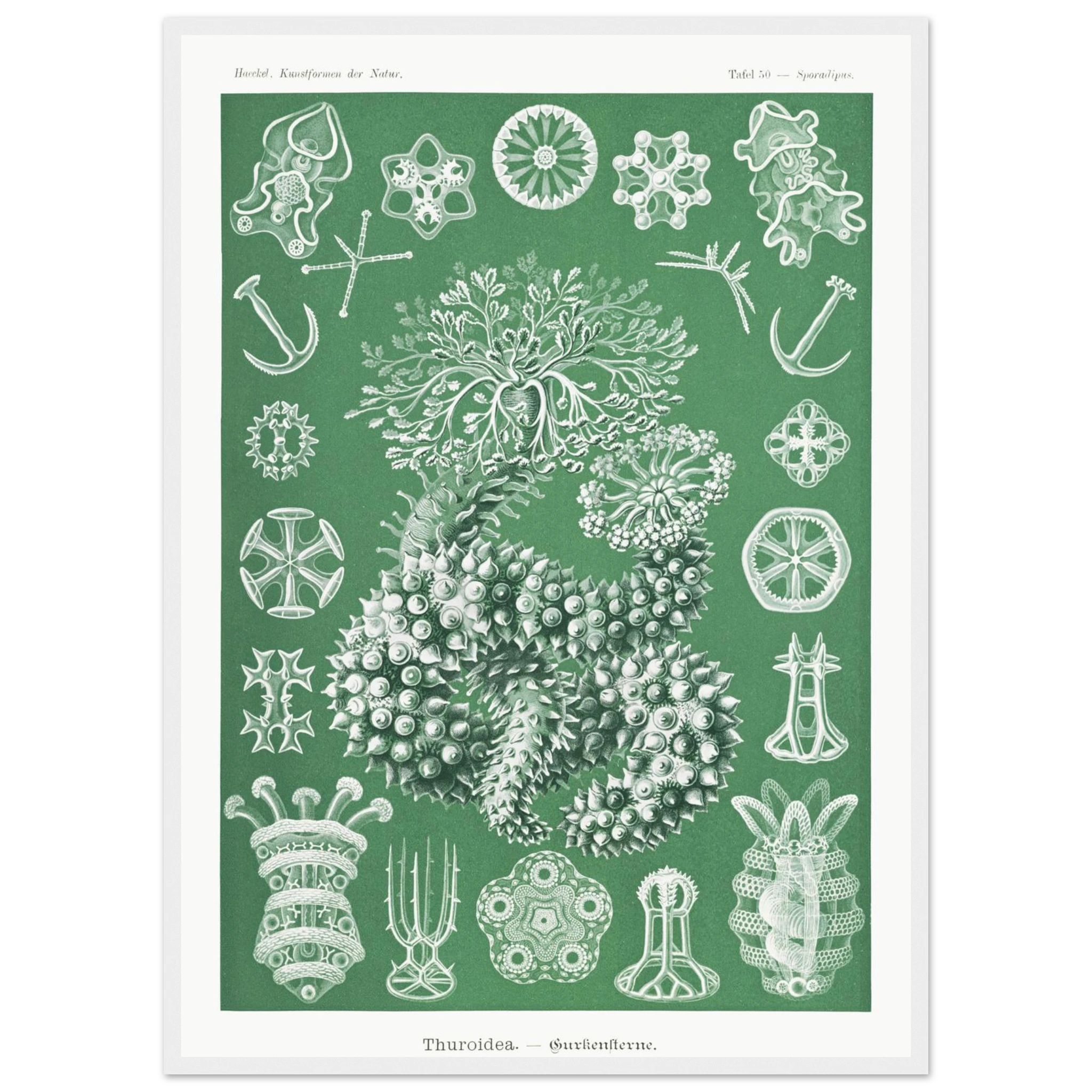 bbef1eaa-3c41-4af6-b3d9-0d921134edbf