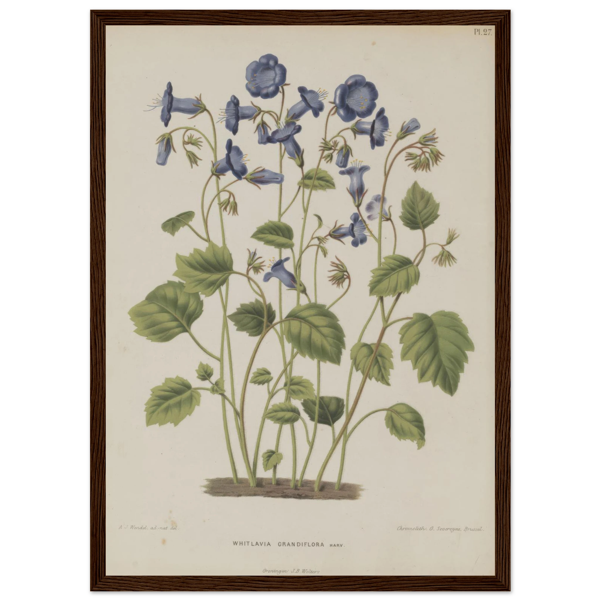 bbff0cdc-5e38-49c4-a6e3-b8079c8bfd9f