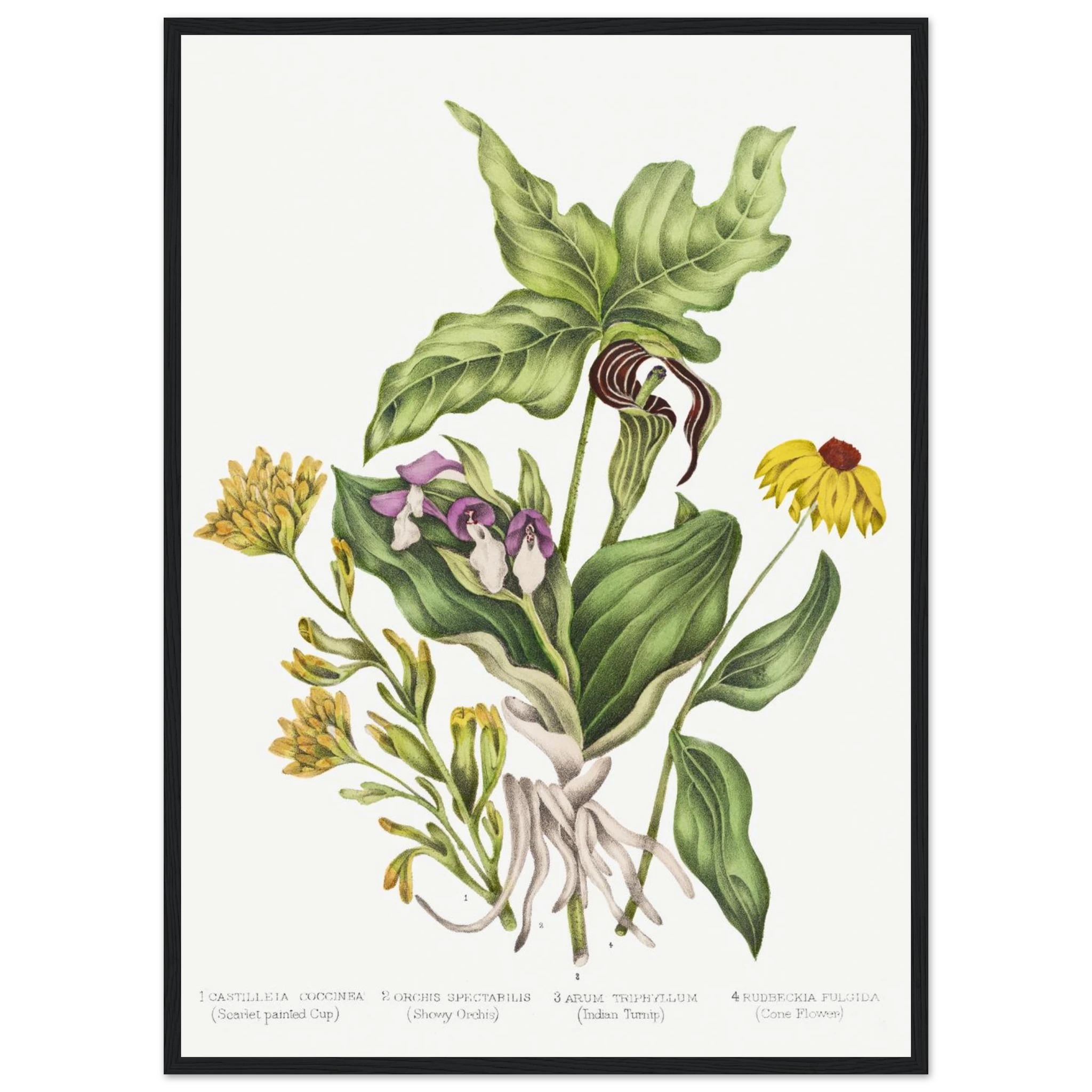 bc2bf342-d193-4086-b10f-af7b27f6c124