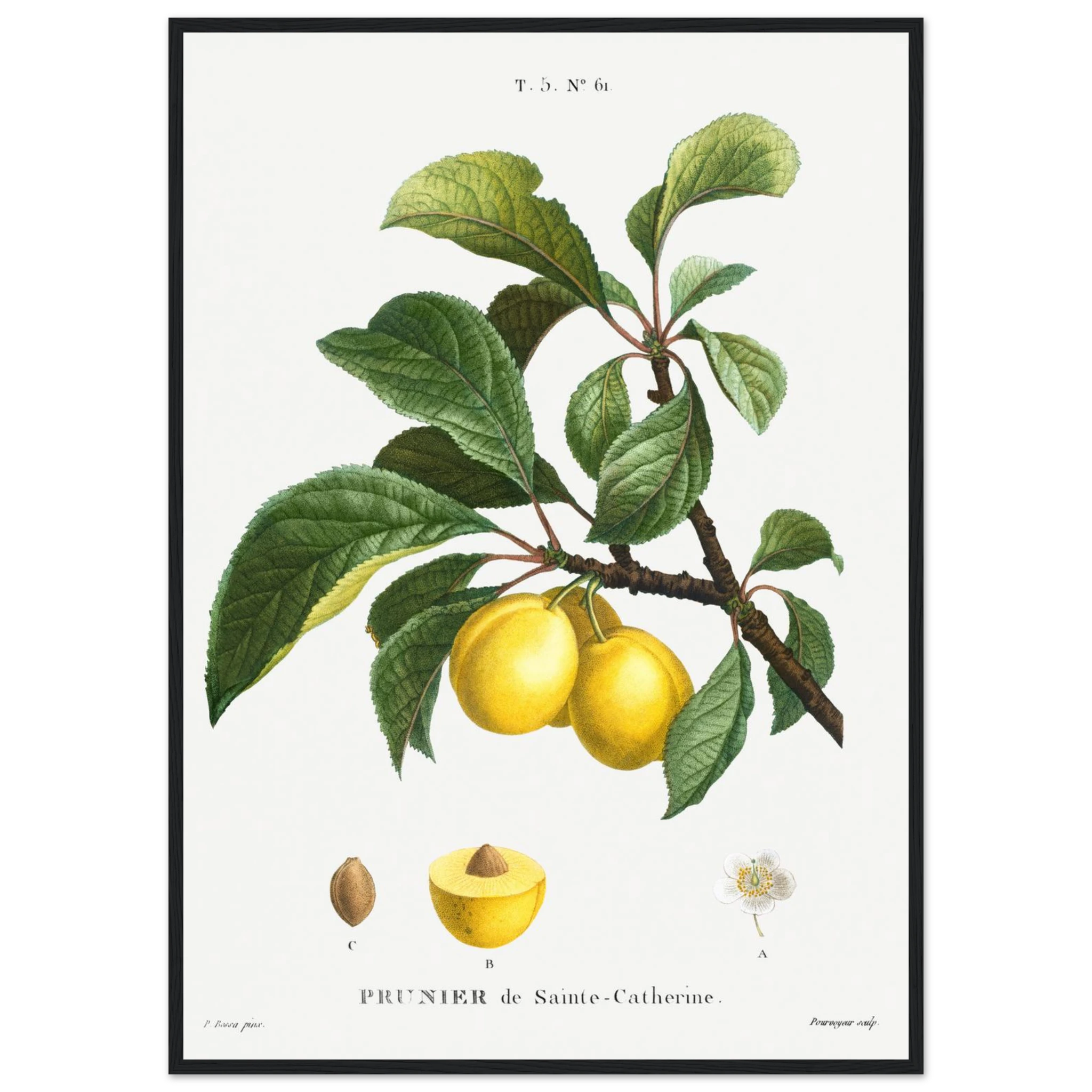 bc3388b1-f6bb-4d3a-9e18-f0de6e0f3a9b