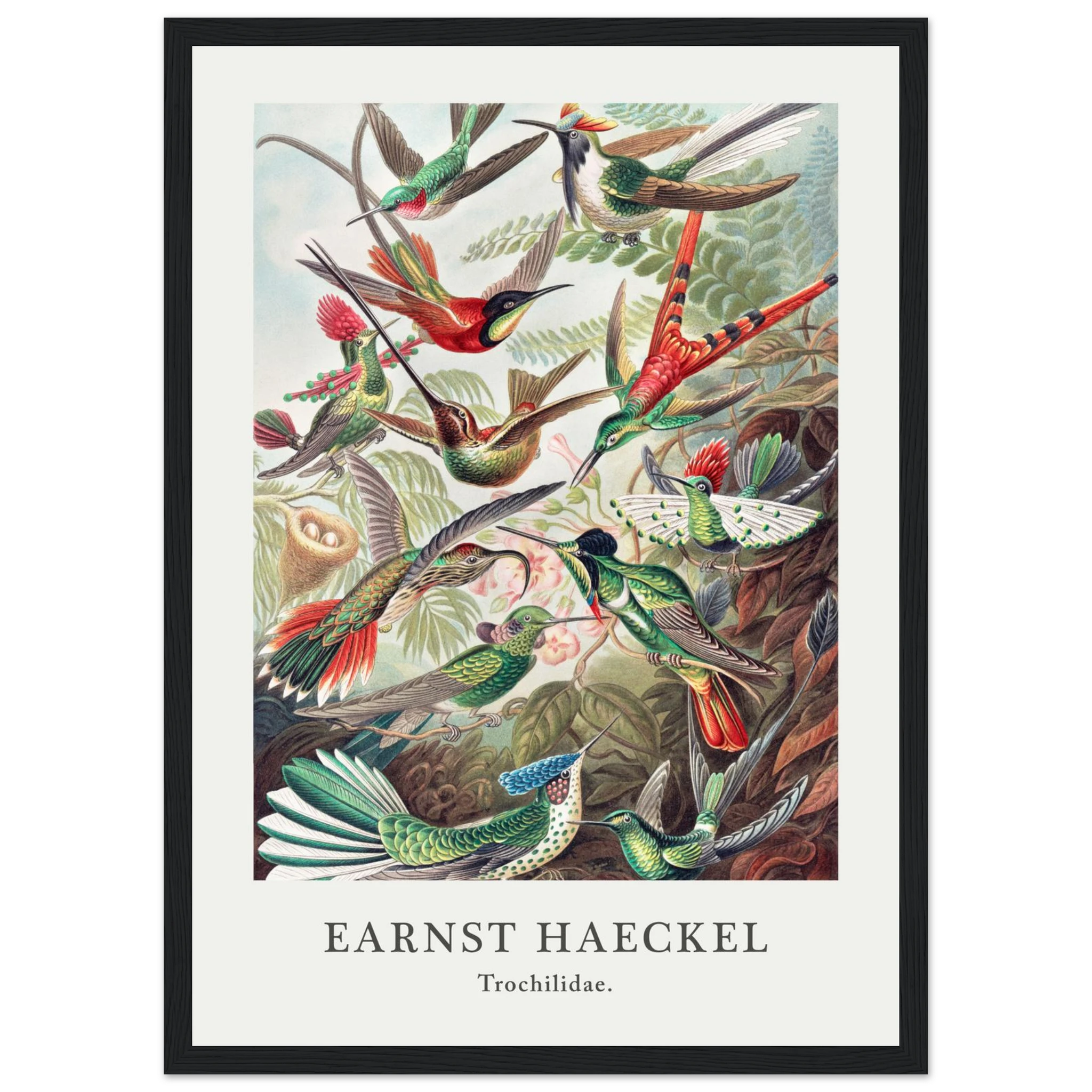 bc366bf4-ab9e-4a03-b07a-3fa4b7aced2a