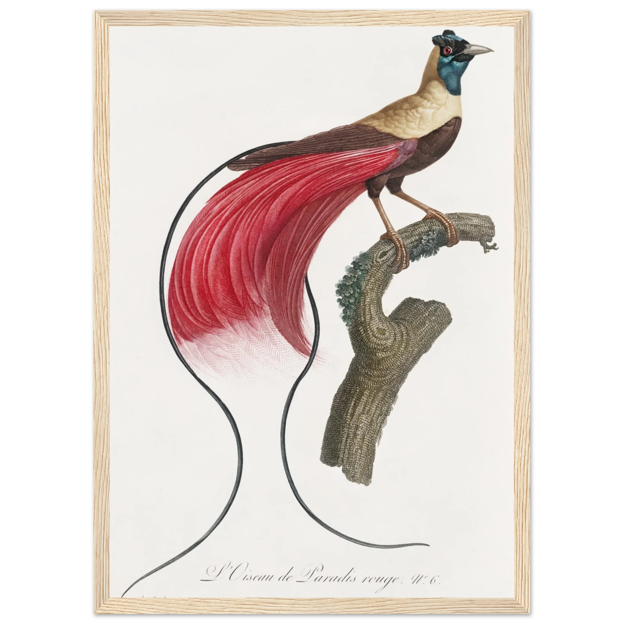 bc633ac3-4962-4595-adeb-5c2e3ffe47ac