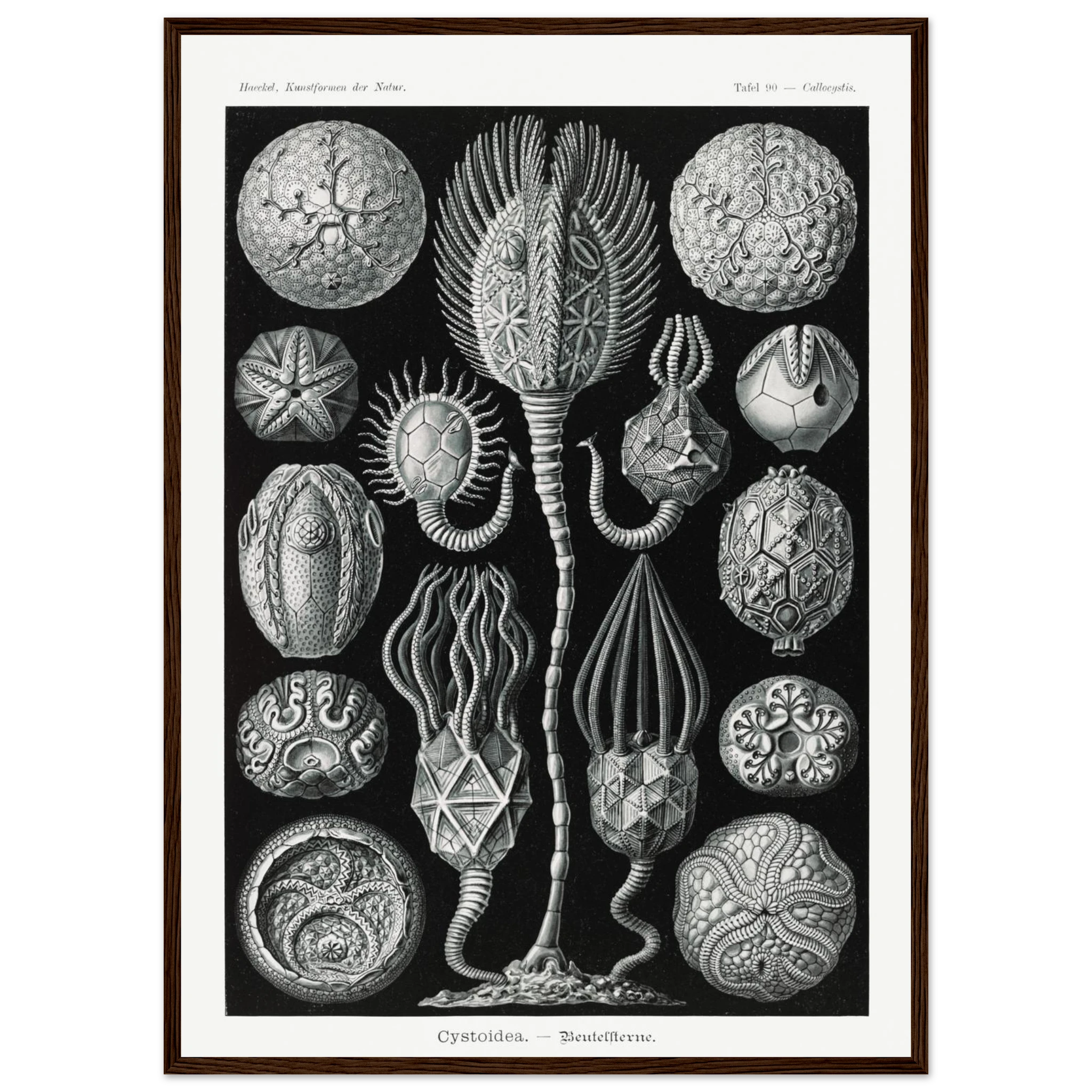 bc661a49-3d65-453e-9cd7-ac28a3656f88