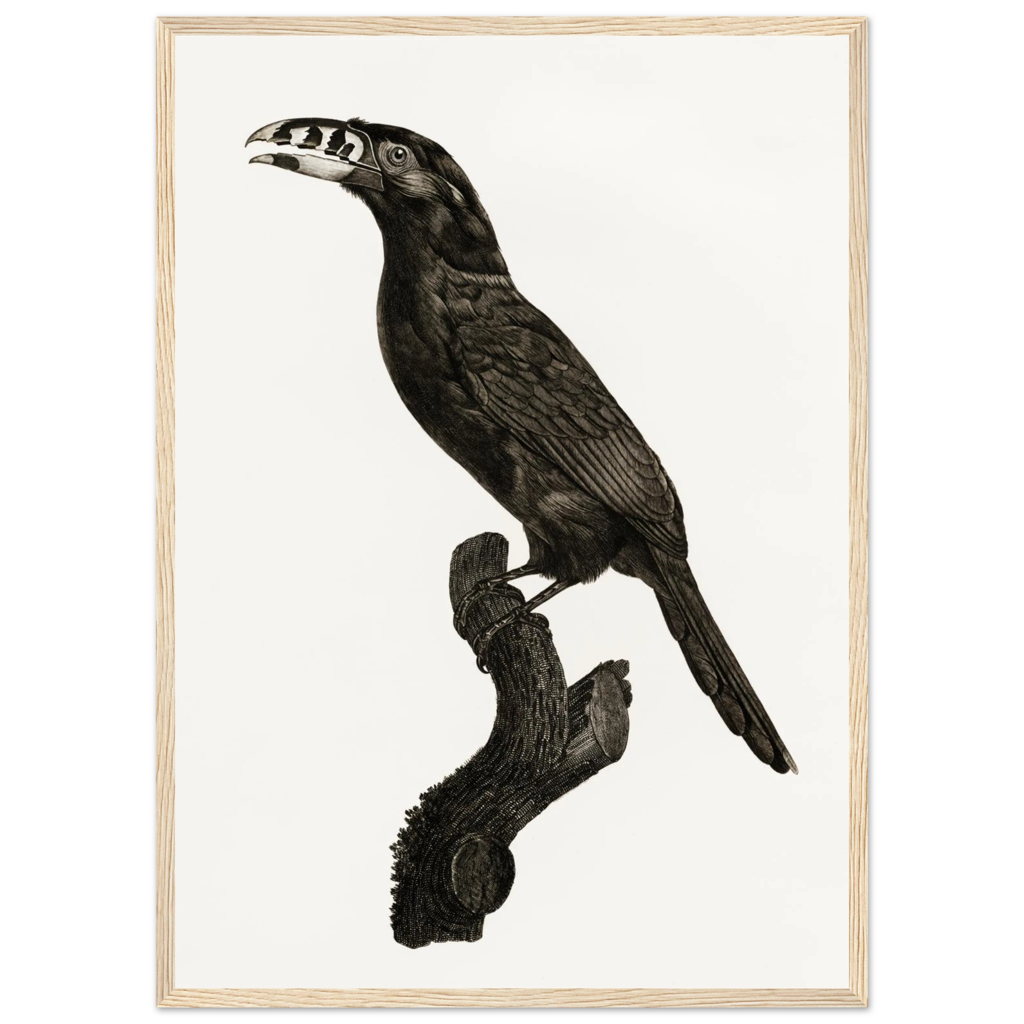 bc92ccc4-5cdf-4ee5-b4e0-6c1b4bb6ca91