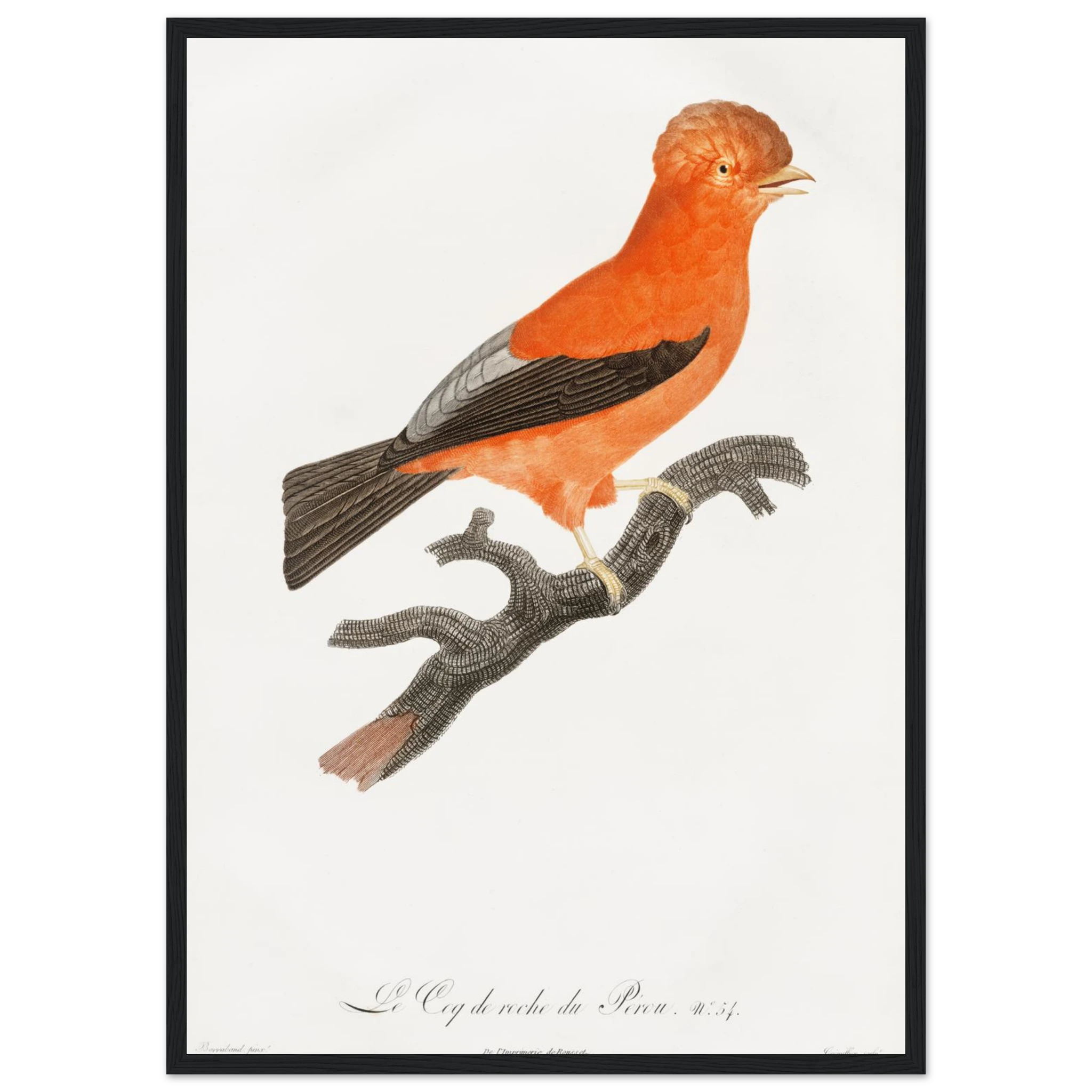 bc92d796-65dd-4c1f-85a0-32261d45cc28