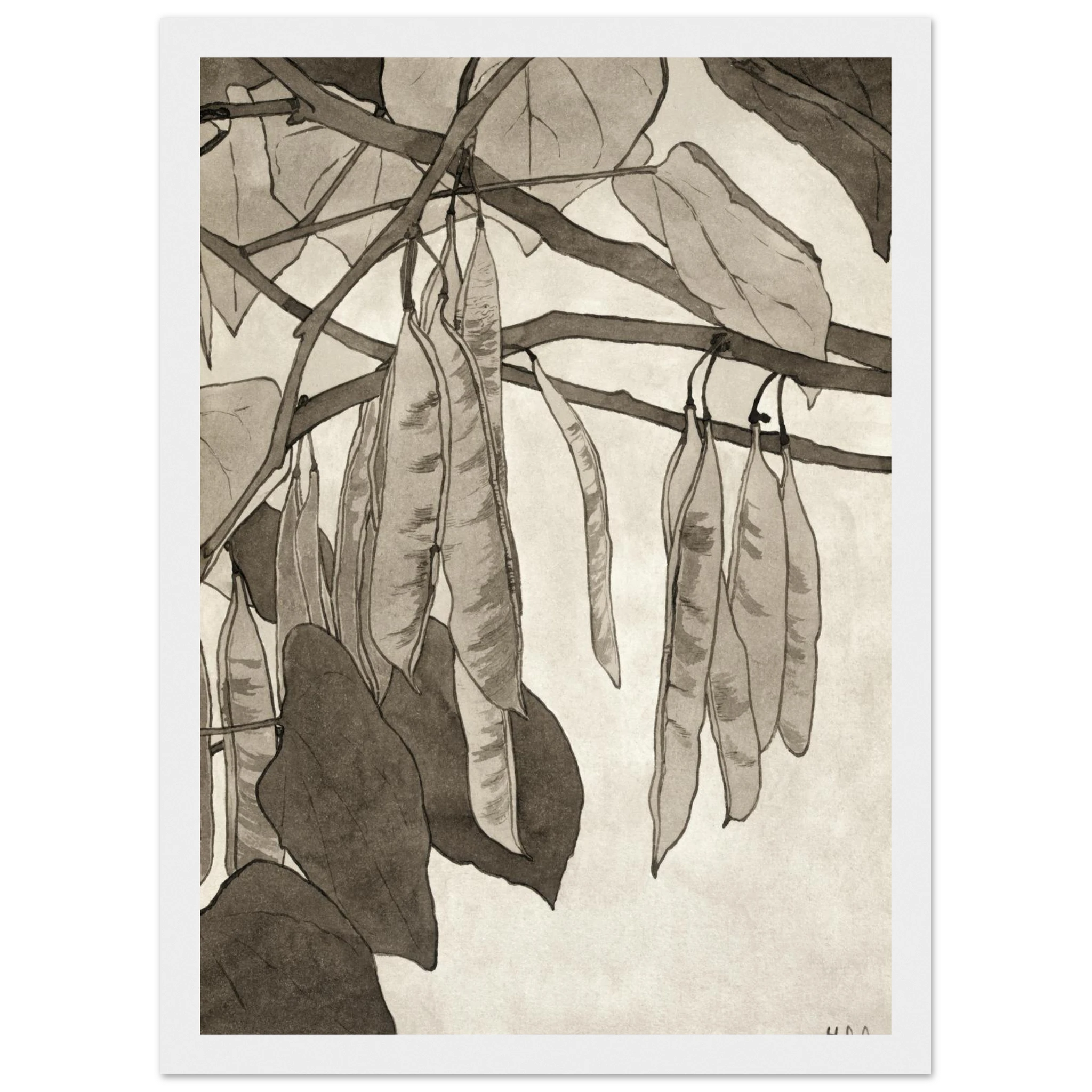 bcb96b9c-0a1d-46ba-83d3-22d0d2d9e06b