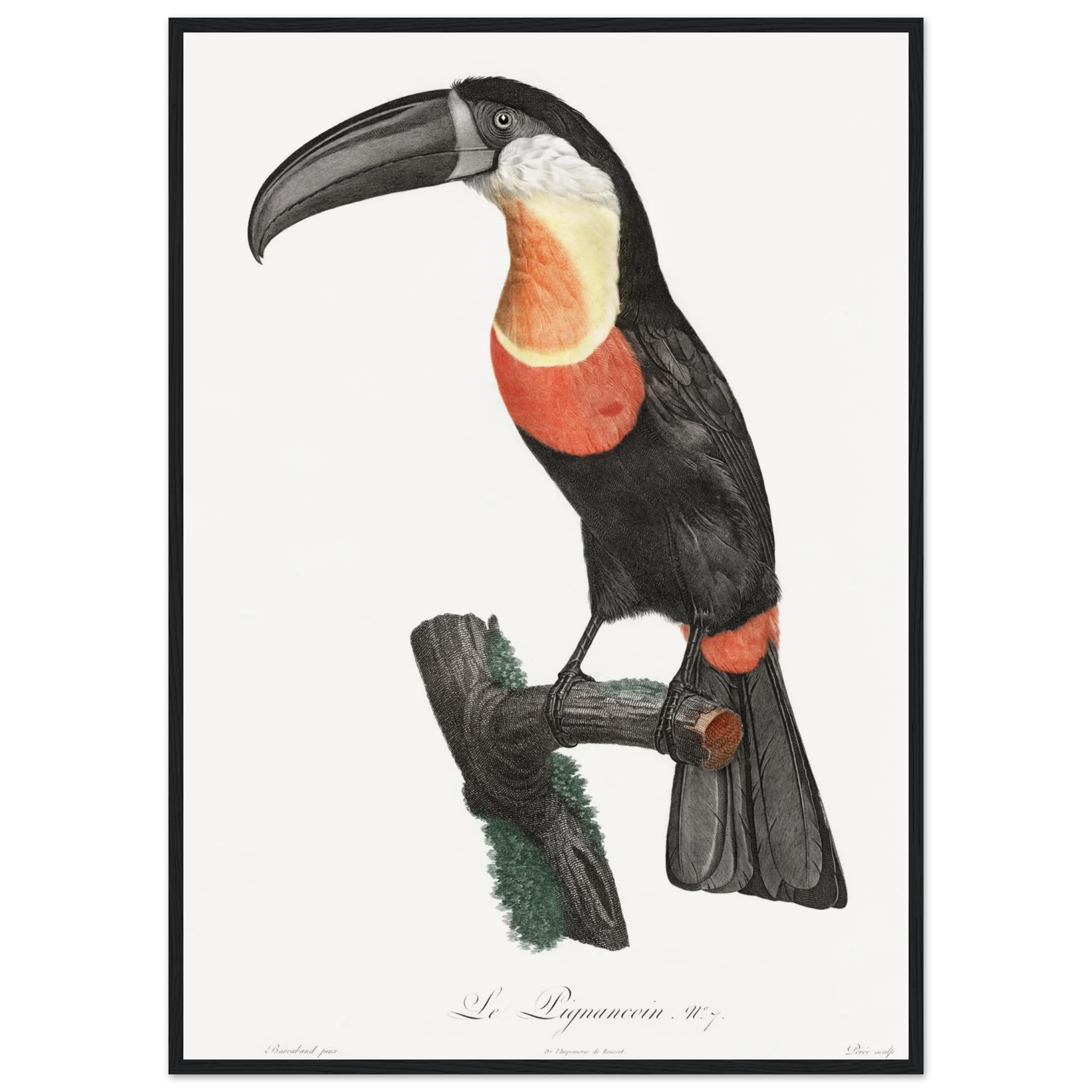 bcd927a6-30f5-4c94-9056-3cac61b047c9