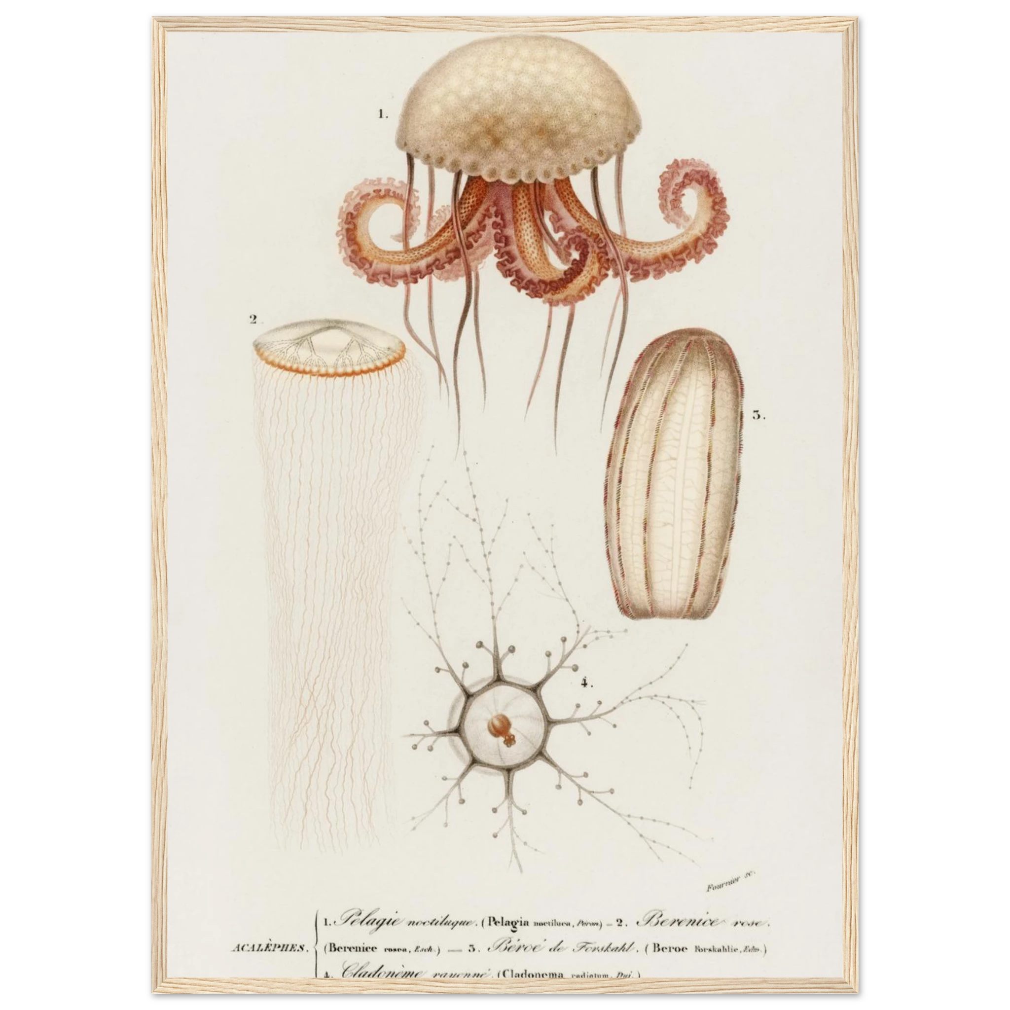 bce86619-4309-4632-8a97-5f34b330ef8b